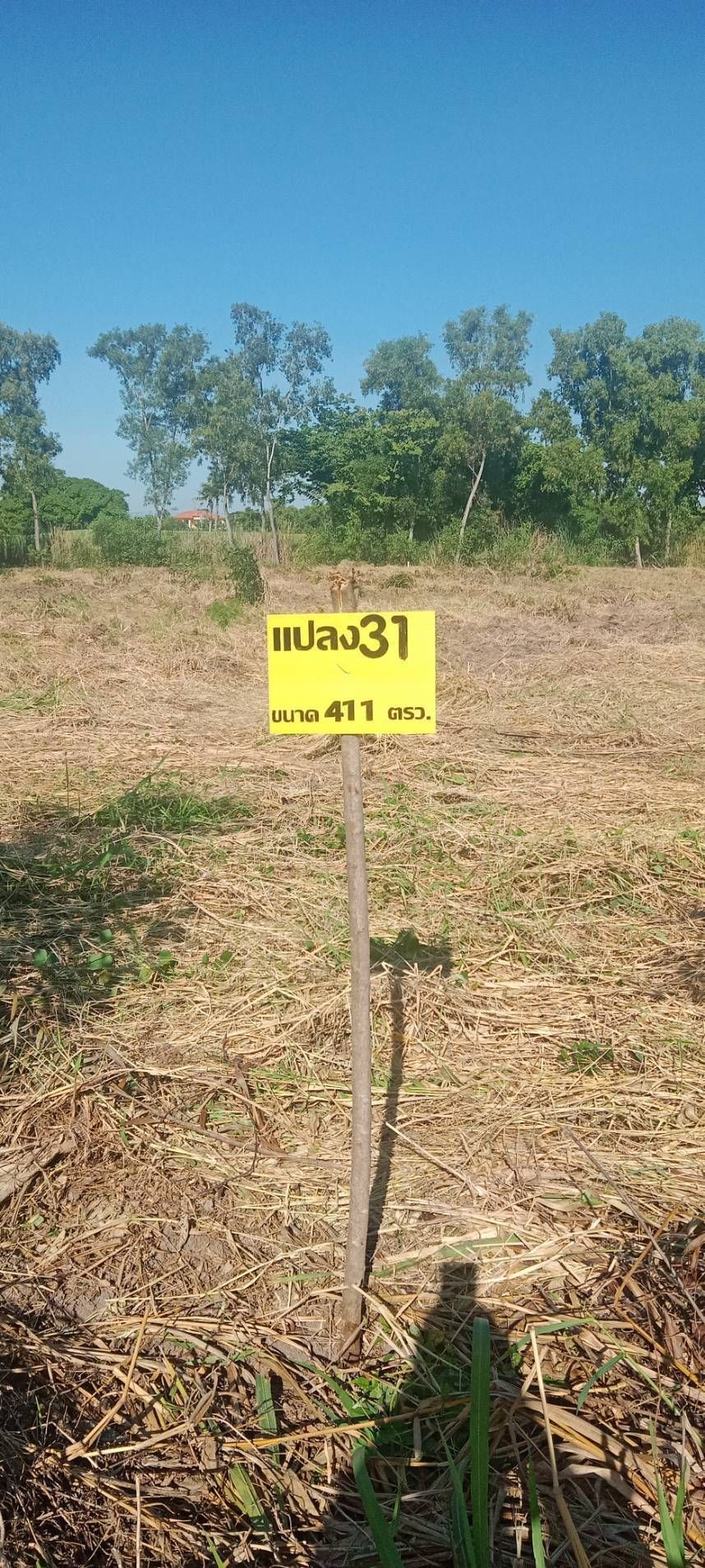 สนามกอล์ฟนอร์ทเทิร์น