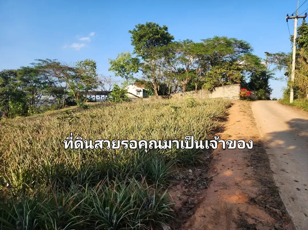 ขายที่ดินวิวสวยเหมาะสำหรับสร้างรีสอร์ท