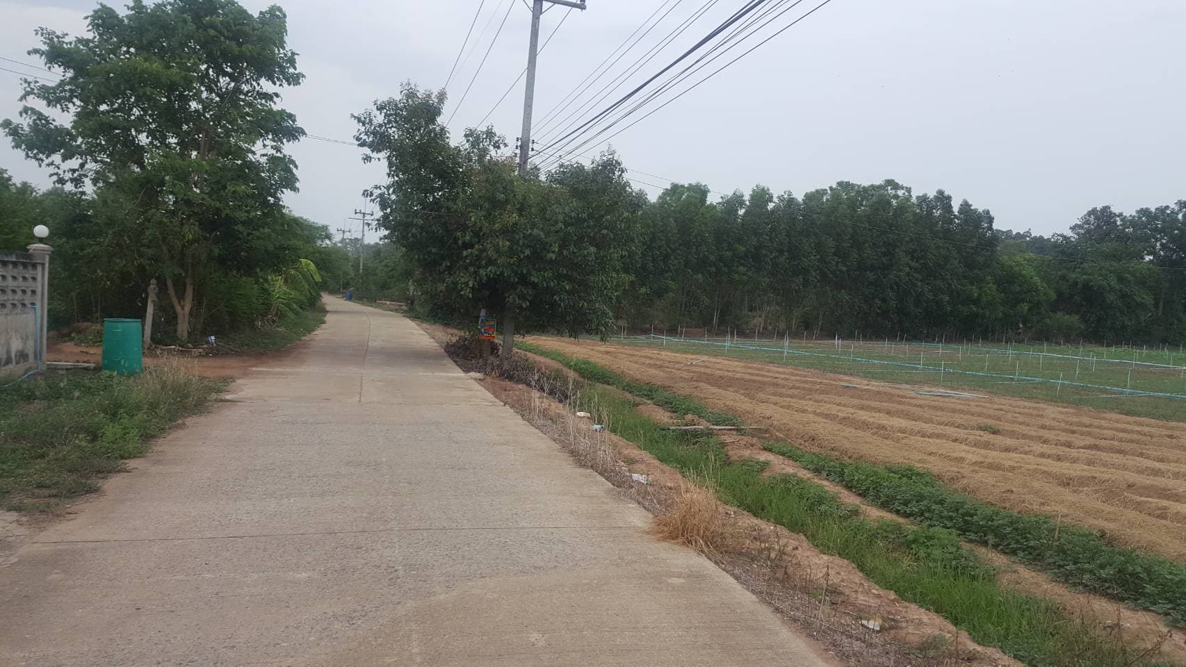 ที่ดินเปล่า สุพรรณบุรี 6-1-31