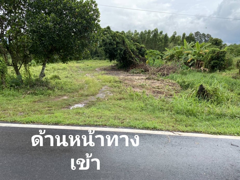 ที่ดินติดถนน ปราจีนบุรี 2-0-18