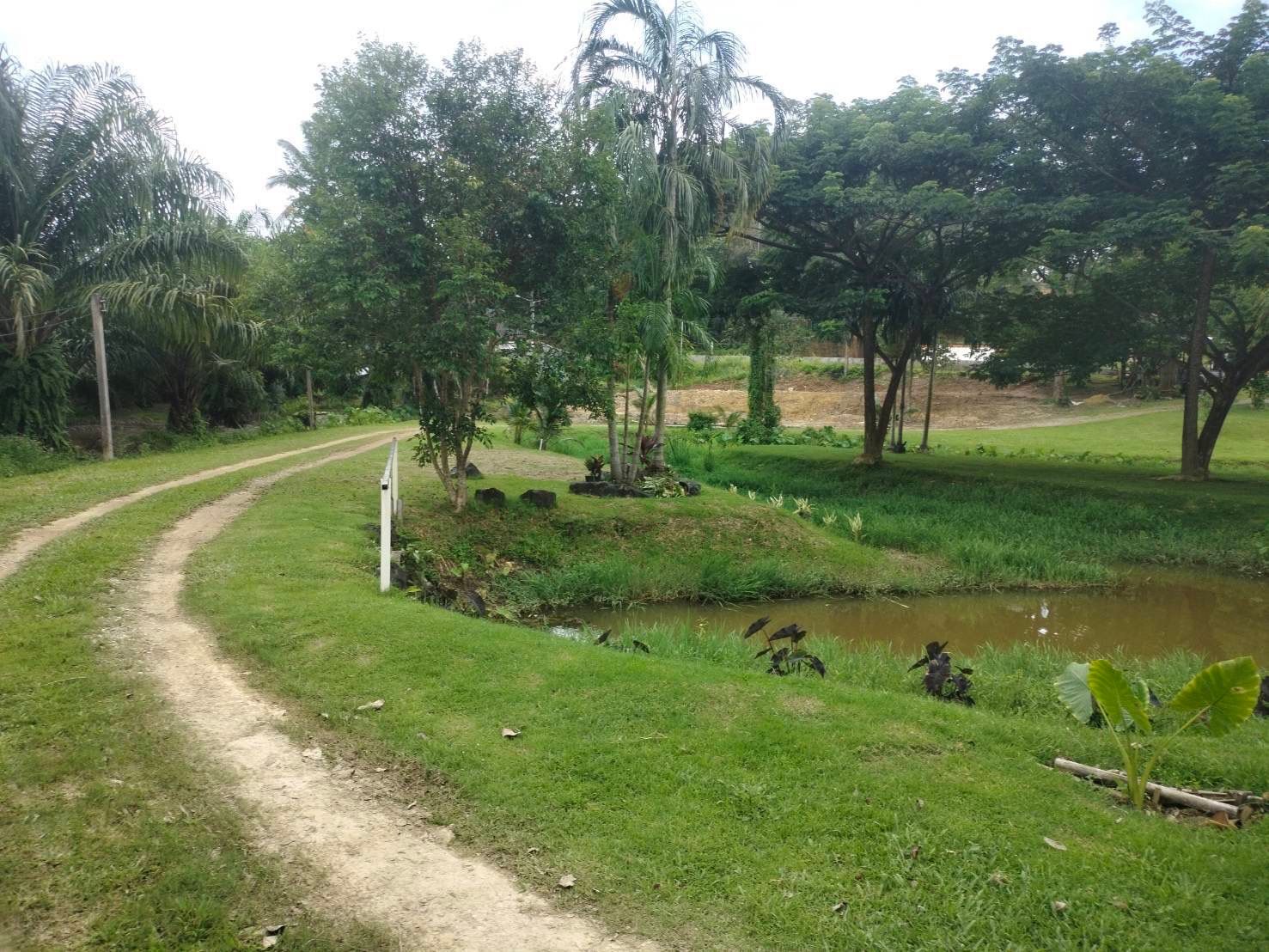 ที่ดิน ติดถนนเพชรเกษม จ.พังงา สไตลืบ้านสวน แนวหุบเขา 10 ไร่ 1 งาน 79.7 ตรว.