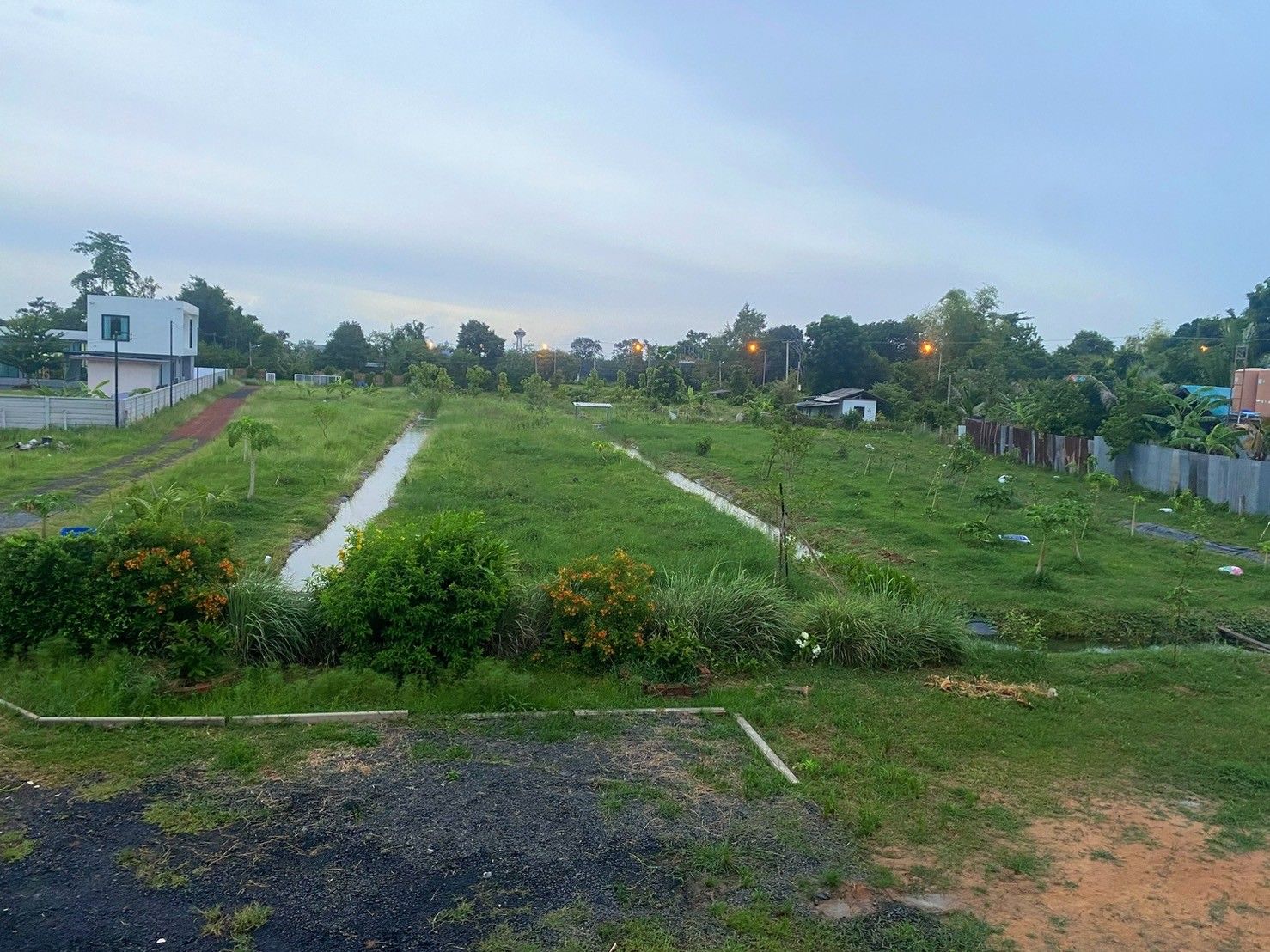 ขายบ้านเดี่ยวมินิมอลพร้อมที่ดิน (ต.ถนนหัก อ.นางรอง จ.บุรีรัมย์) 