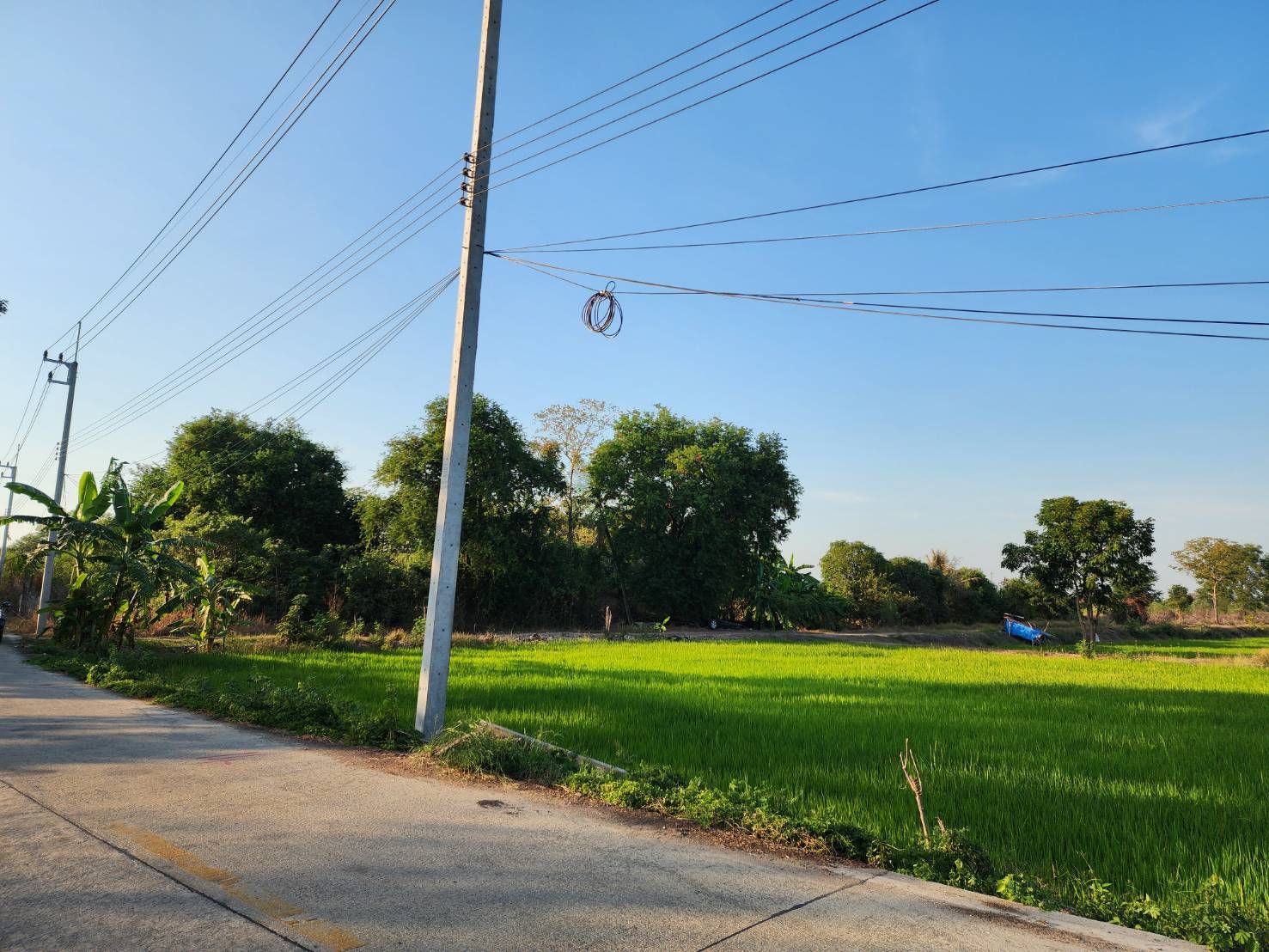 ขายที่ดิน ติดถนน 2 ด้าน ใกล้วัดเจดีย์หอย 