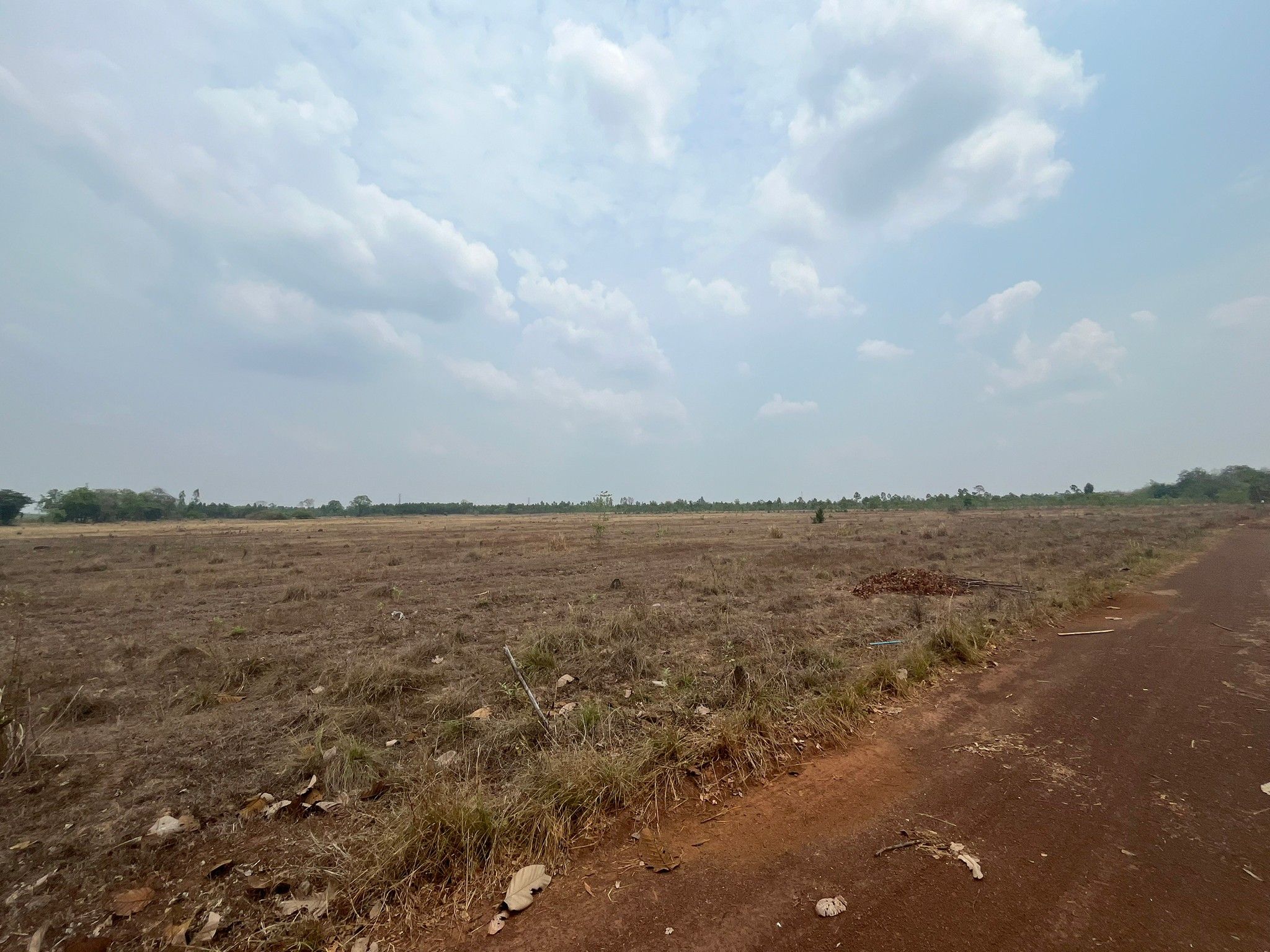 ขายที่ดิน 103 ไร่ เจ้าของขายเอง เหมาะแก่การเกษตร