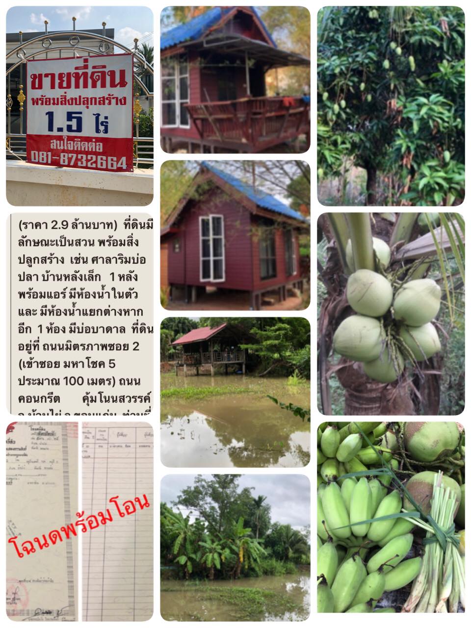 ขายที่ดินพร้อมสิ่งปลูกสร้างขอนแก่น จ.ขอนแก่น อ.บ้านไผ่ 1-2-0 ไร่