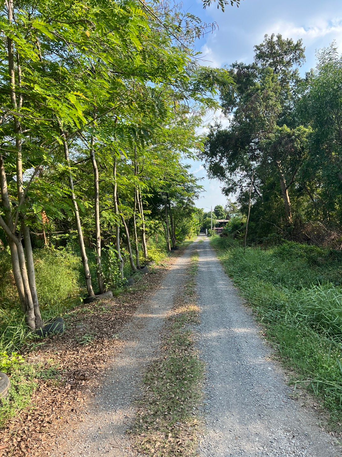 ขายที่ดินปทุมธานี ธัญบุรี ที่ดินเปล่า ในเขตชุมชน ใกล้แหล่งอำนวยความสะดวก 1 งาน