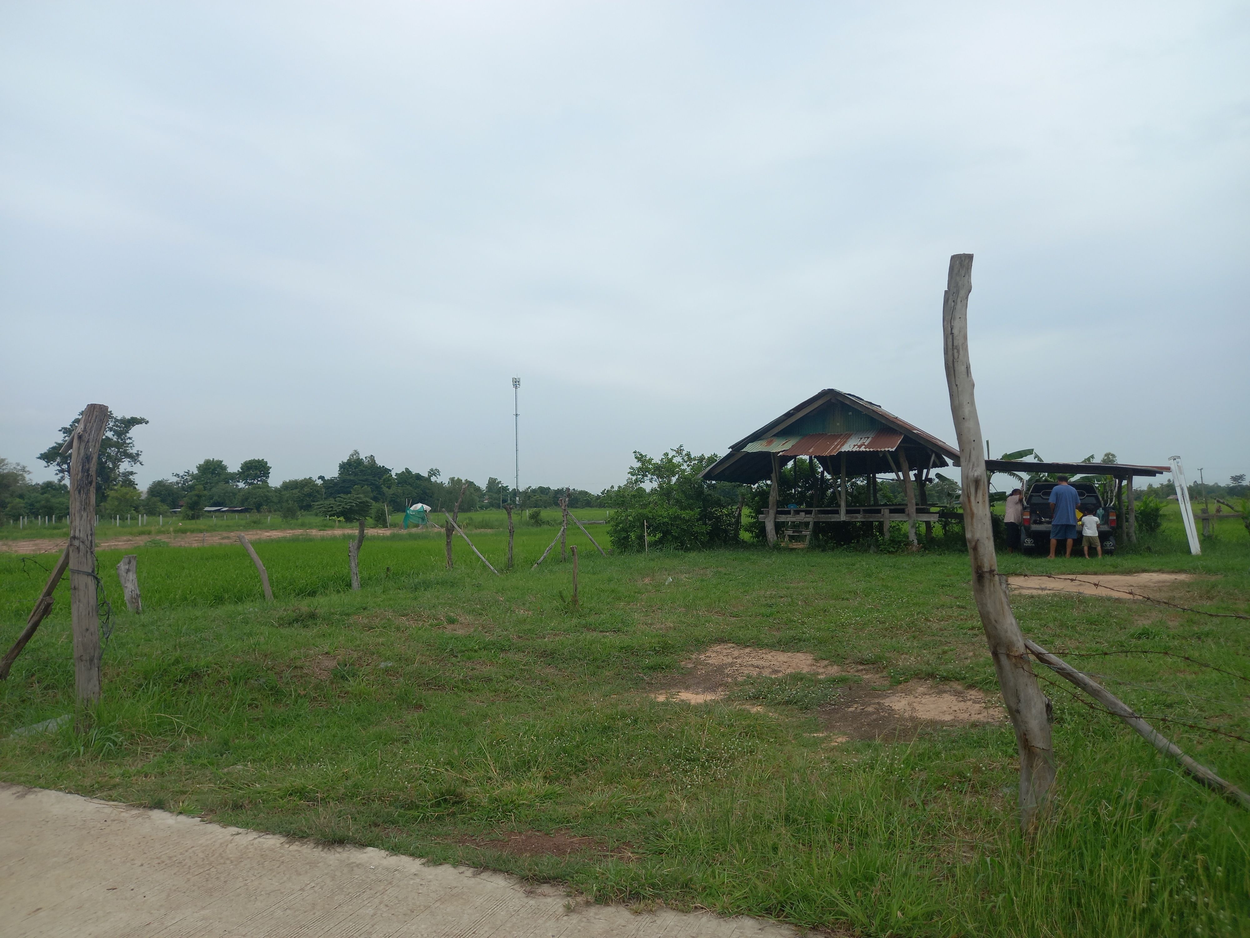 ขายที่ดินมหาสารคาม กันทรวิชัย ที่ดินเปล่า