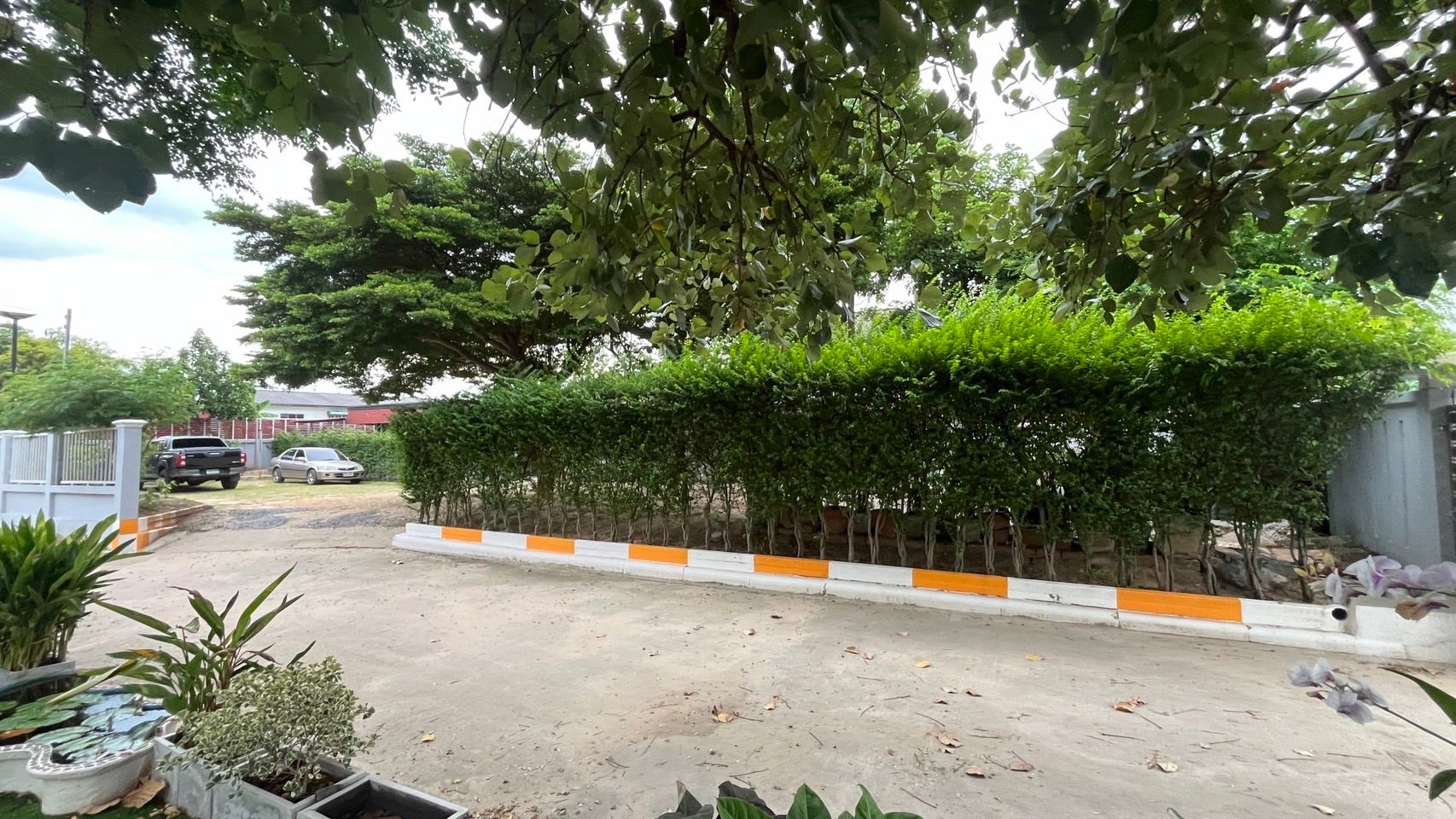 ขายที่ดินพร้อมสิ่งปลูกสร้าง