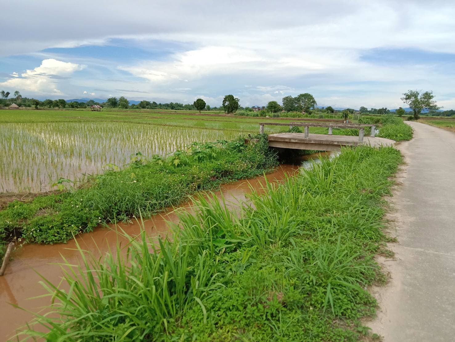 ขายที่ดินเชียงราย จ.เชียงราย อ.แม่จัน 3 ไร่