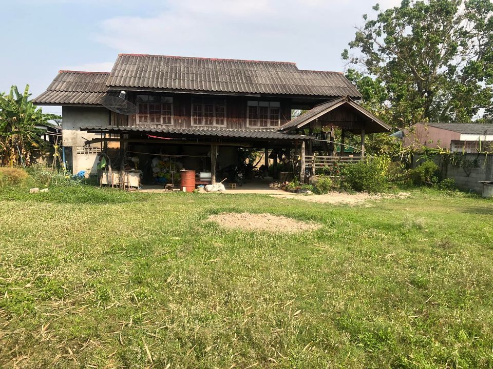บ้านพร้อมที่ดิน  อ.เเม่ใจ  พะเยา 0-2-64 ตรว.
