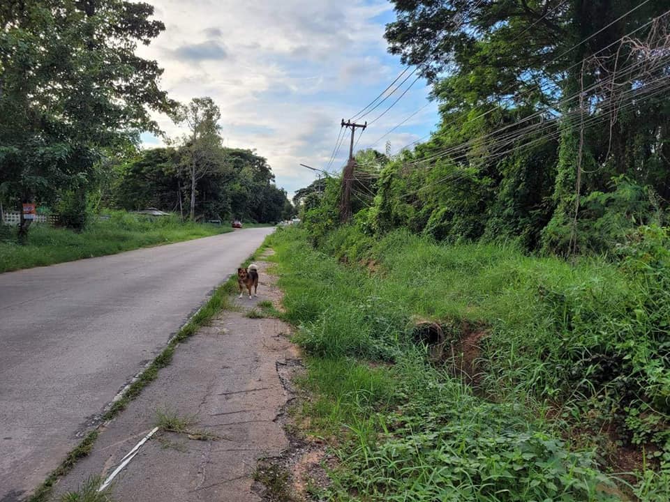 ที่ดินตรงข้าม​ มข.​ ขอนแก่น 65.4 ตรว.