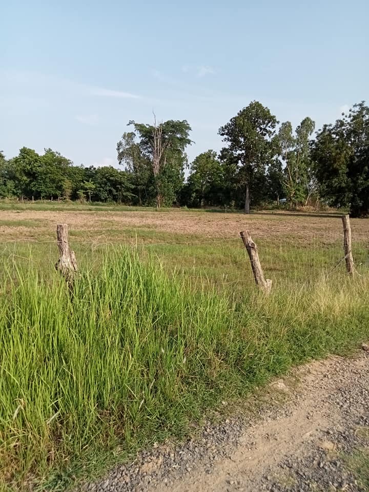 ที่ดินถมแล้วเนื้อที่ 1 ไร่ บุรีรัมย์