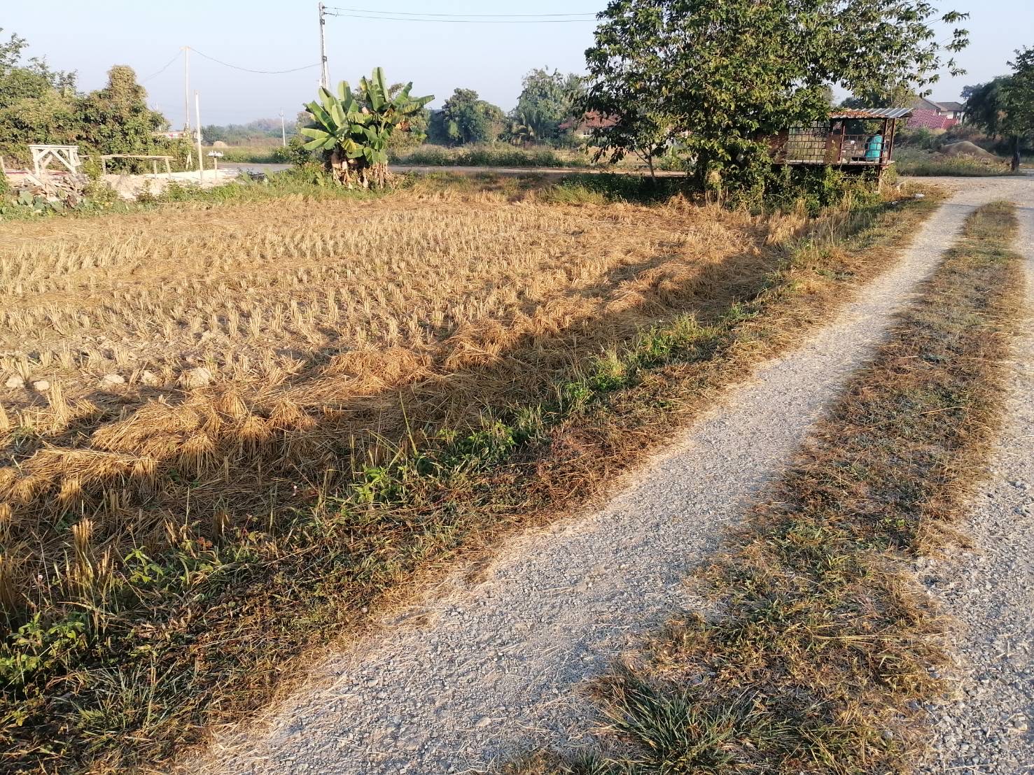 ขายที่นาใกล้สนามบิน แพร่ 136 ตร.ว