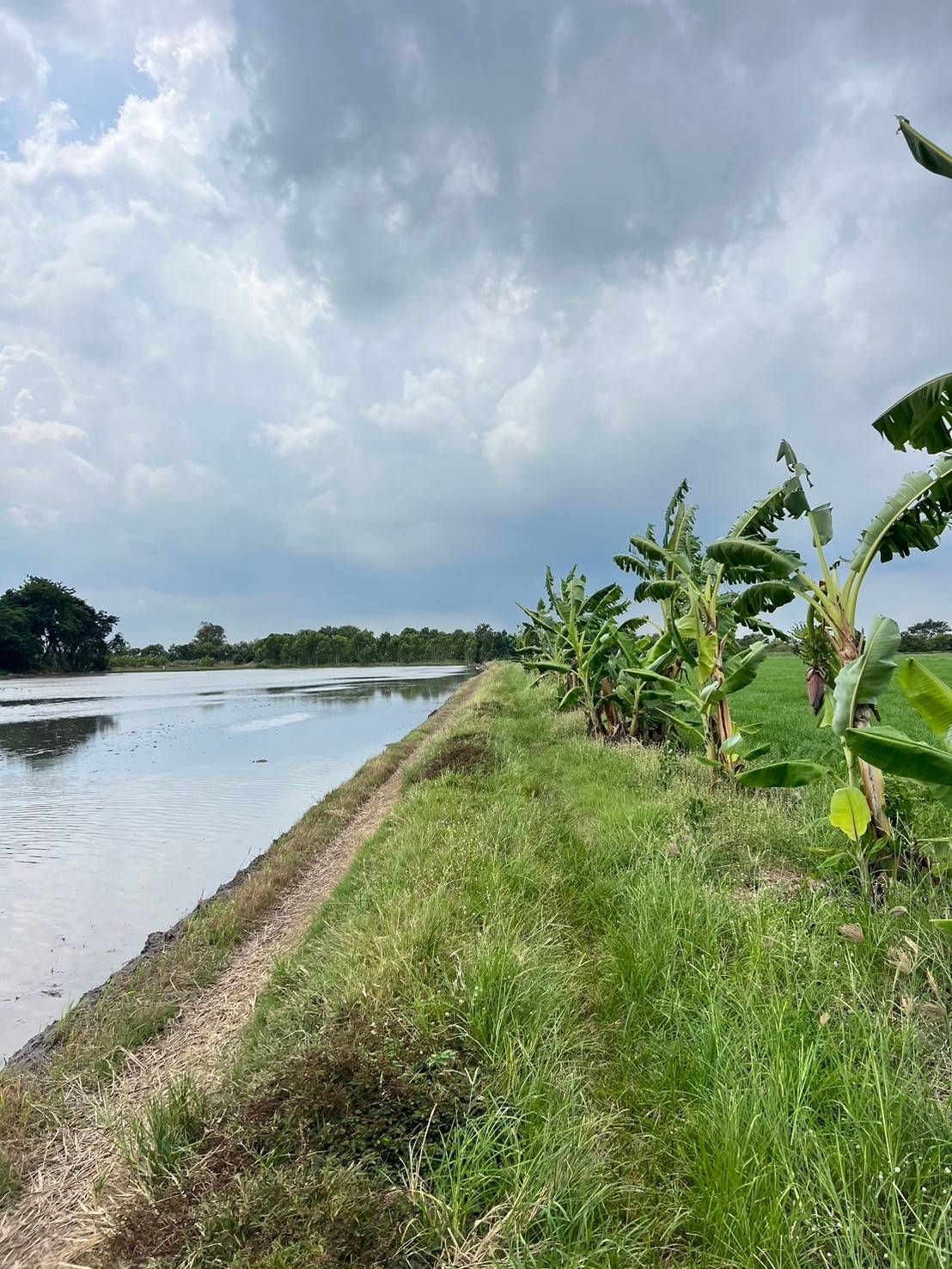 ขายที่ดินปทุมธานี อำเภอหนองเสือ ที่ดินแปลงสวย บรรยากาศดี 