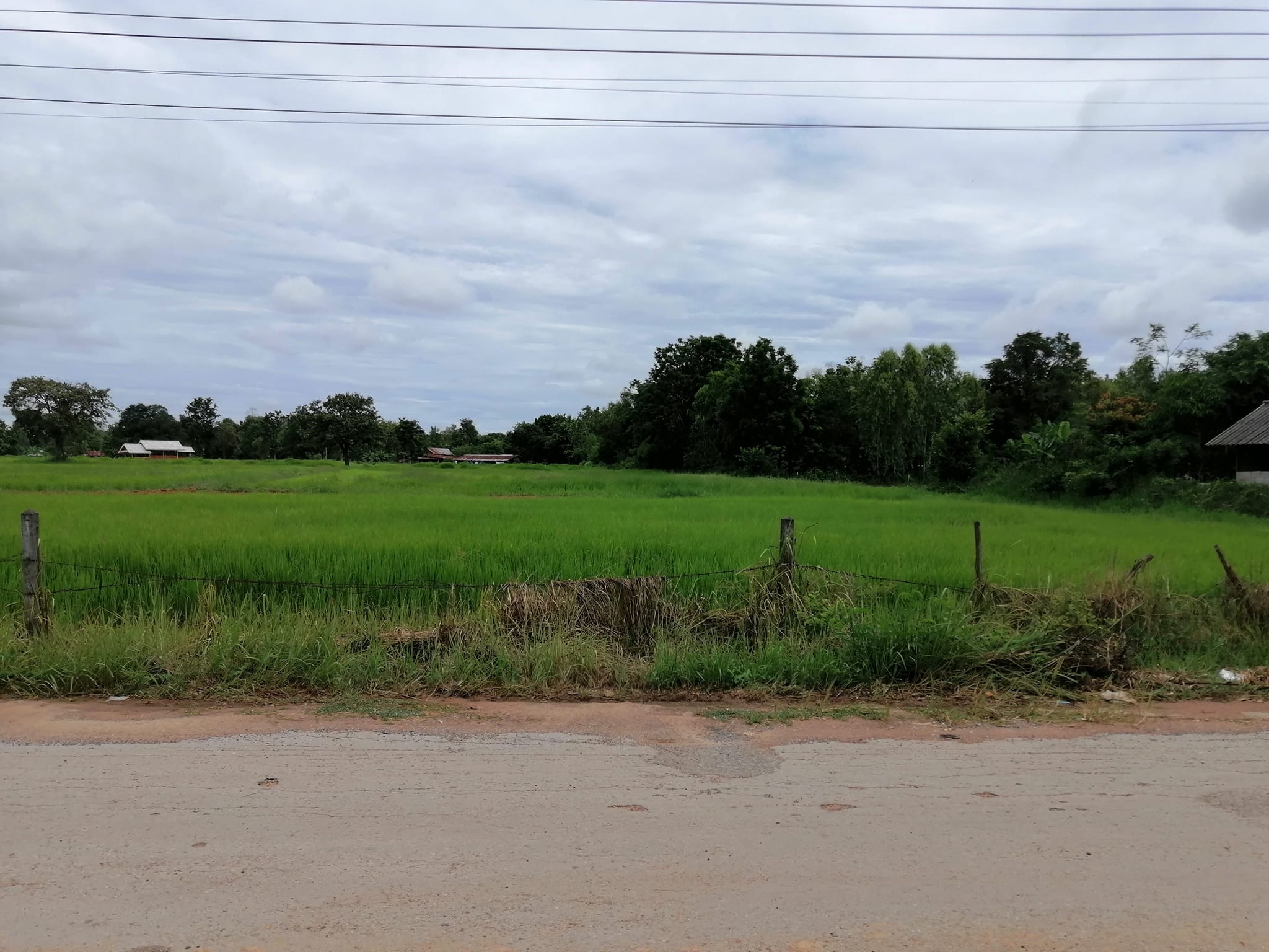 ขายที่ดินขอนแก่น เมืองขอนแก่น 2-1-43.4