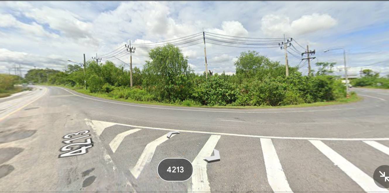 ขายที่ดิน สุราษฎร์ธานี 8-2-12 ไร่