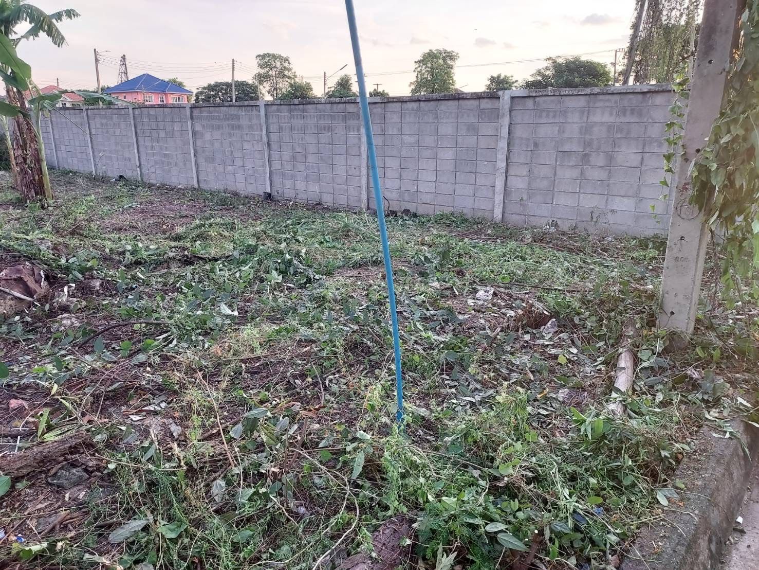 ขายที่ดินหมู่บ้านสิวลี