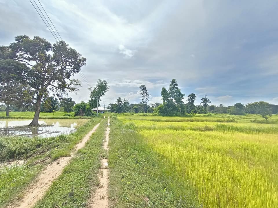 ขายที่ิดิน จ.อุบลราชธานี อ.เดชอุดม 10 ไร่