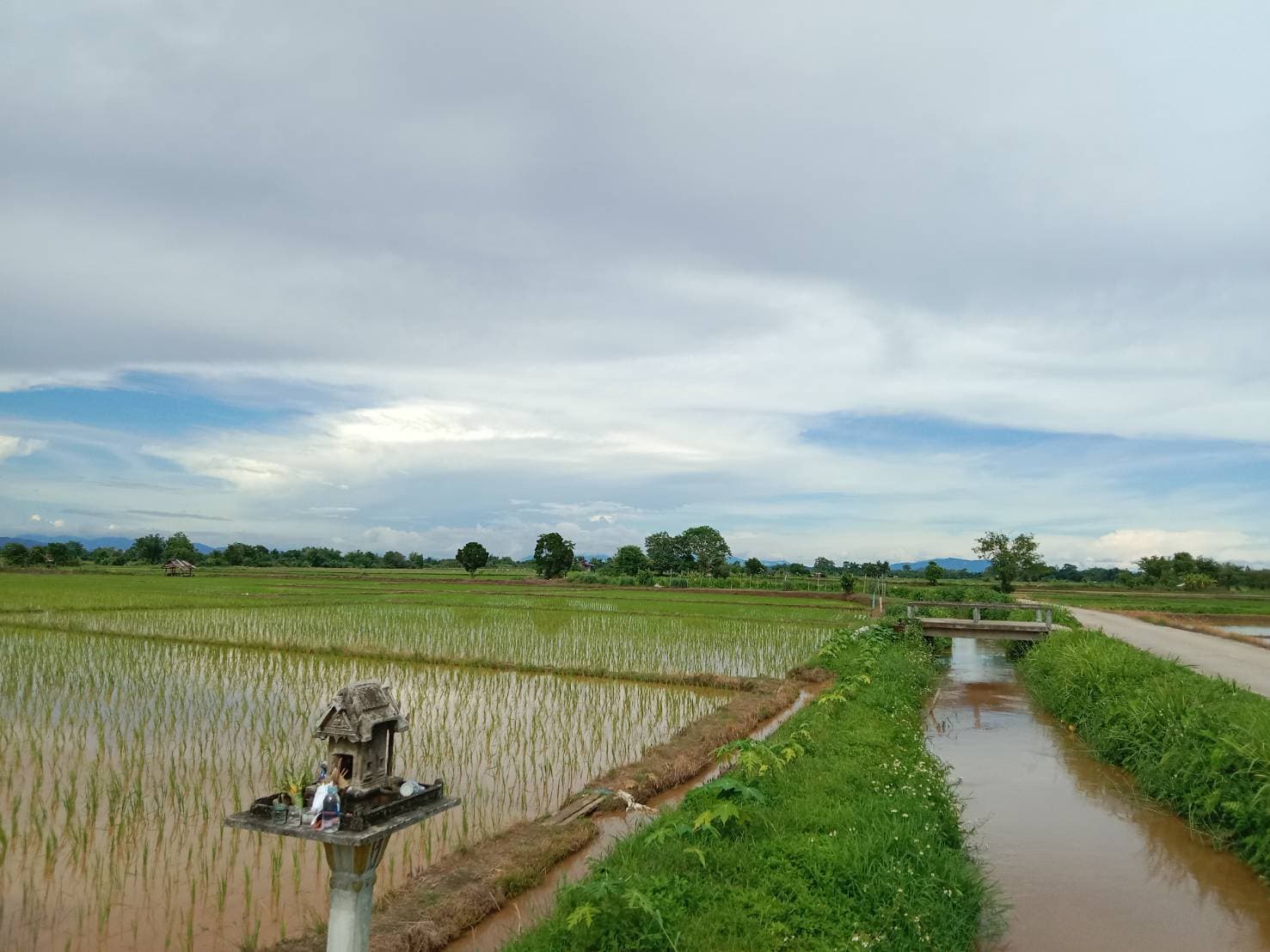 ขายที่ดินเชียงราย จ.เชียงราย อ.แม่จัน 3 ไร่