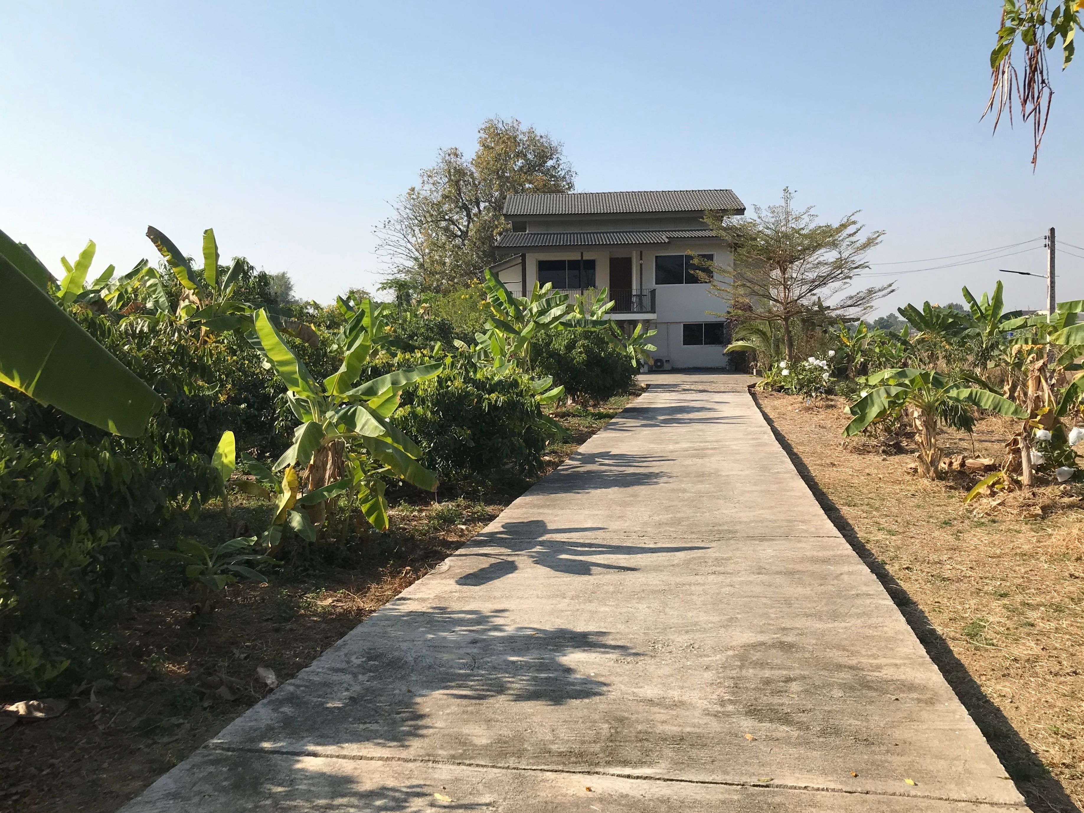 ขายที่ดิน สันกำแพง เชียงใหม่ 12-2-65 ไร่