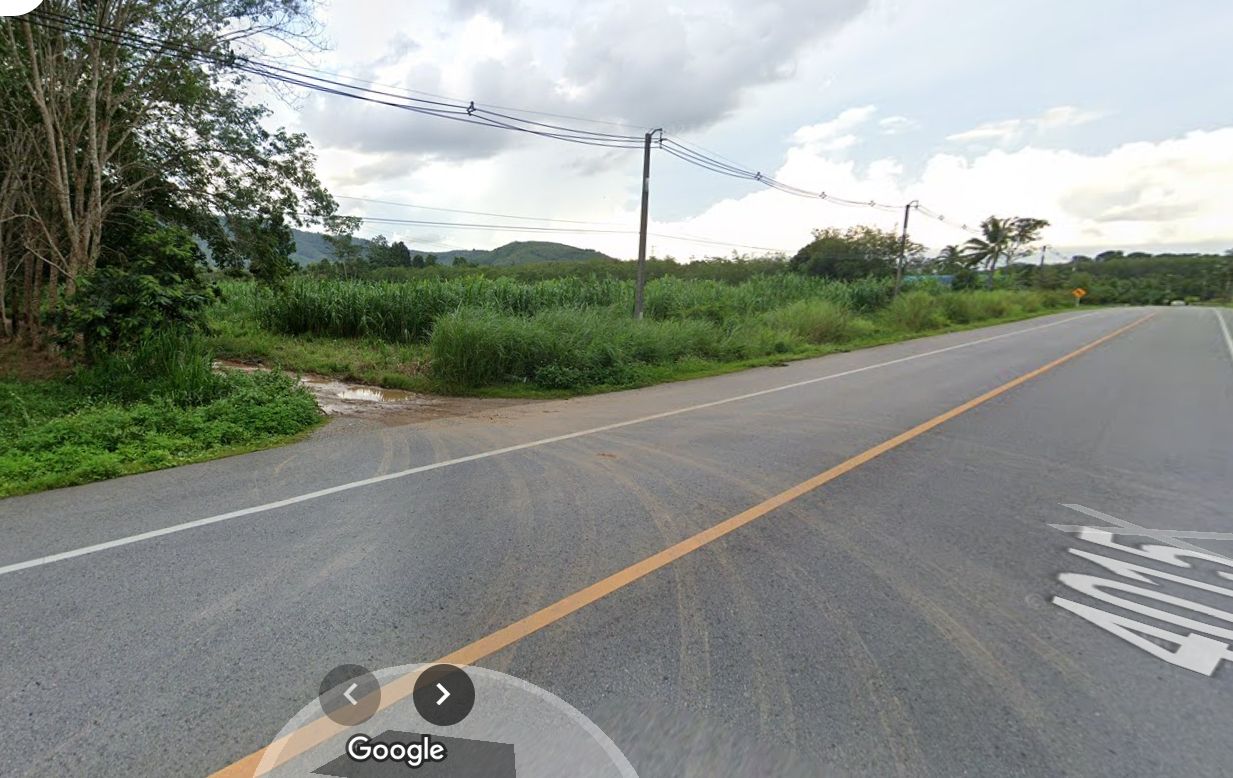 ขายที่ดิน 25ไร่กว่า บ้านพรุแชง ต.บ้านส้อง จ.สุราษฎร์ธานี