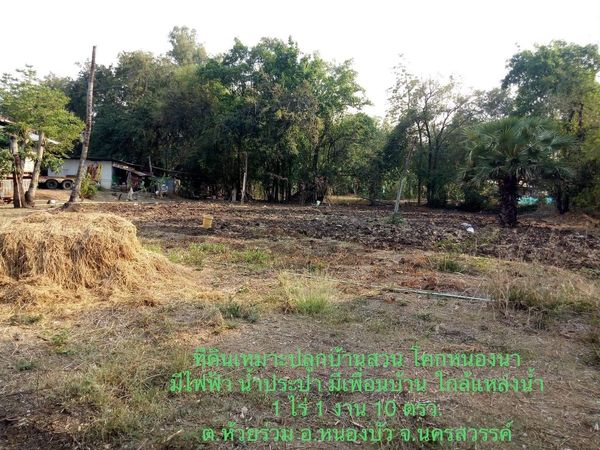 ที่ดินติดถนนหมู่บ้าน ทำสวน โคกหนองนา นครสวรรค์ 1-1-10