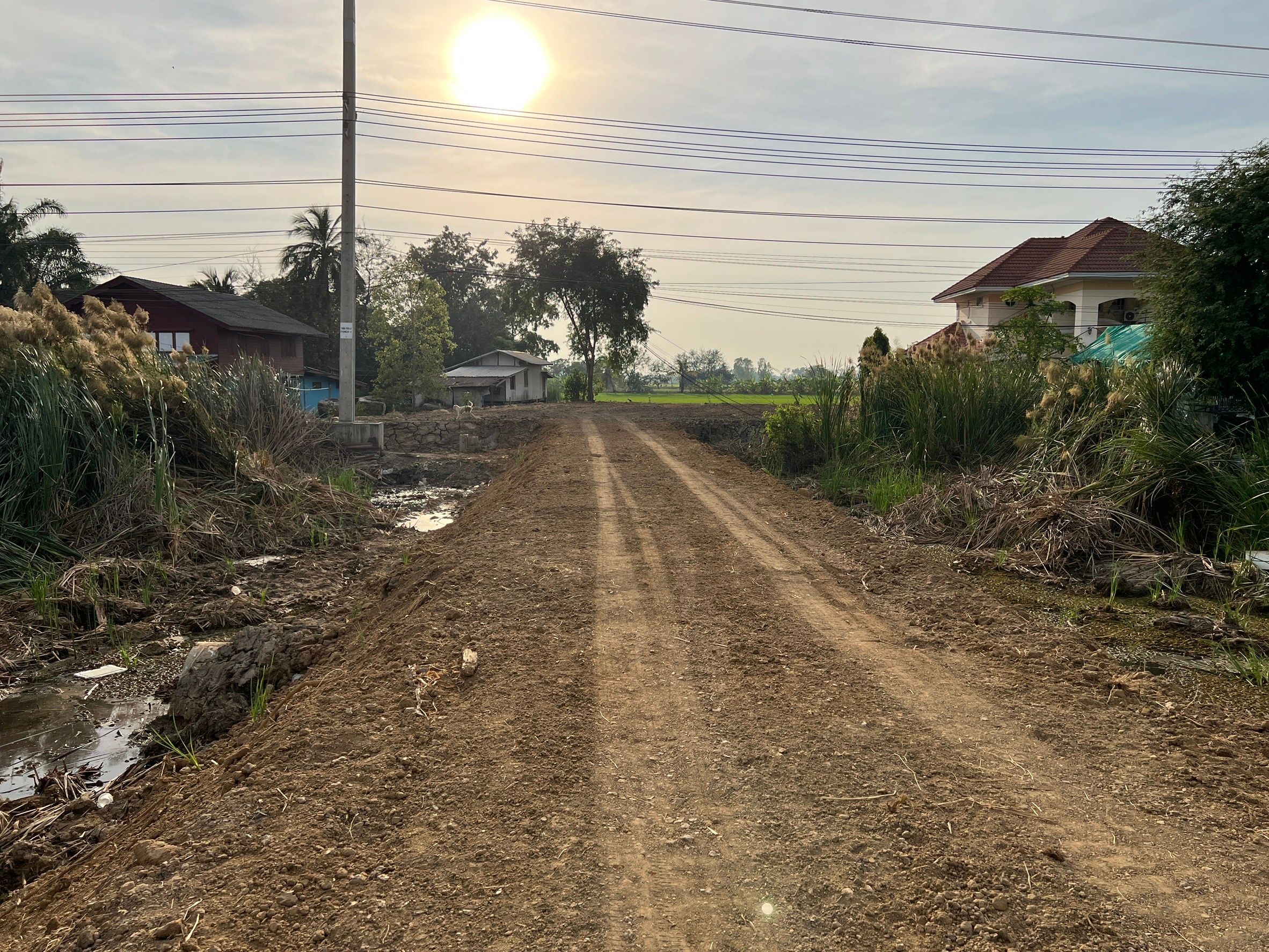 ขายที่ดินโรงหลวง ถมแล้ว จังหวัดพระนครศรีอยุธยา ขนาด 200 ตารางวา