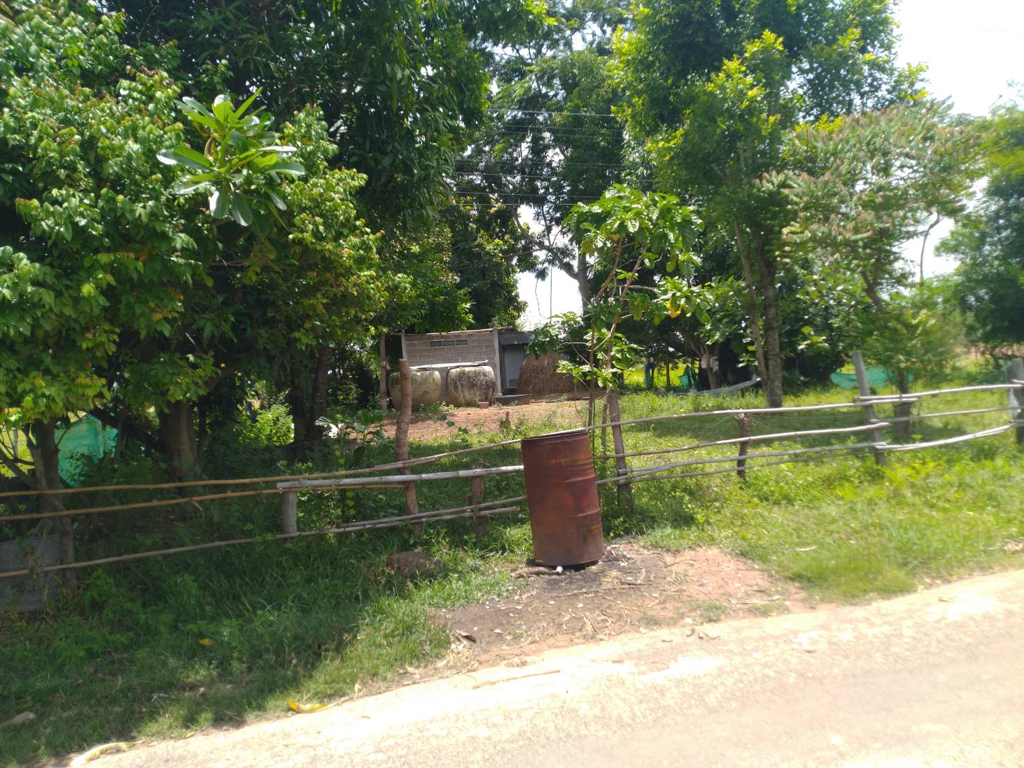 ขายที่ดินเปล่ามหาสารคาม จ.มหาสารคาม อ.บรบือ 120 ตร.ว.