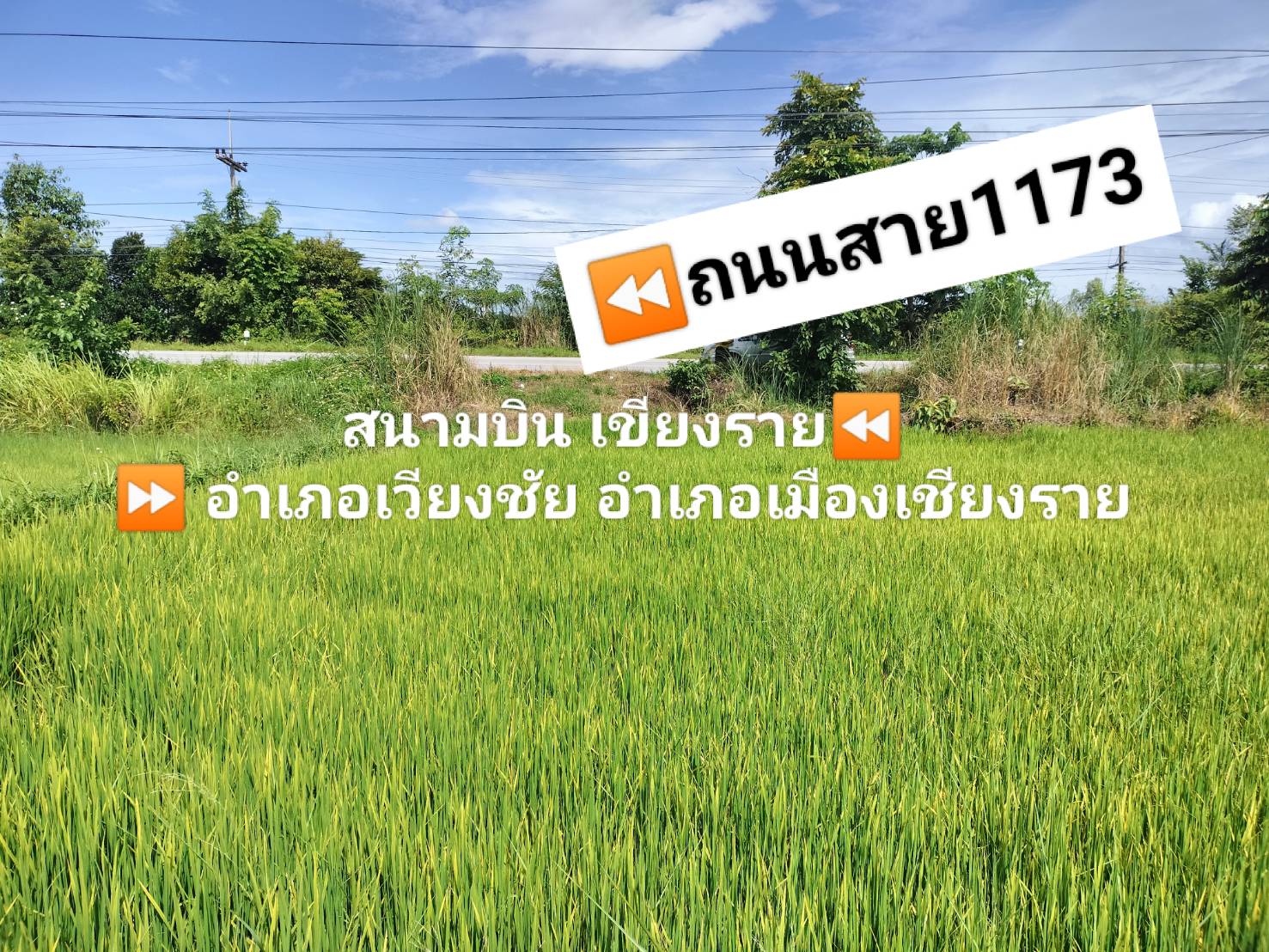 ขายที่ดิน อ.เวียงชัย จ.เชียงราย 5-2-47