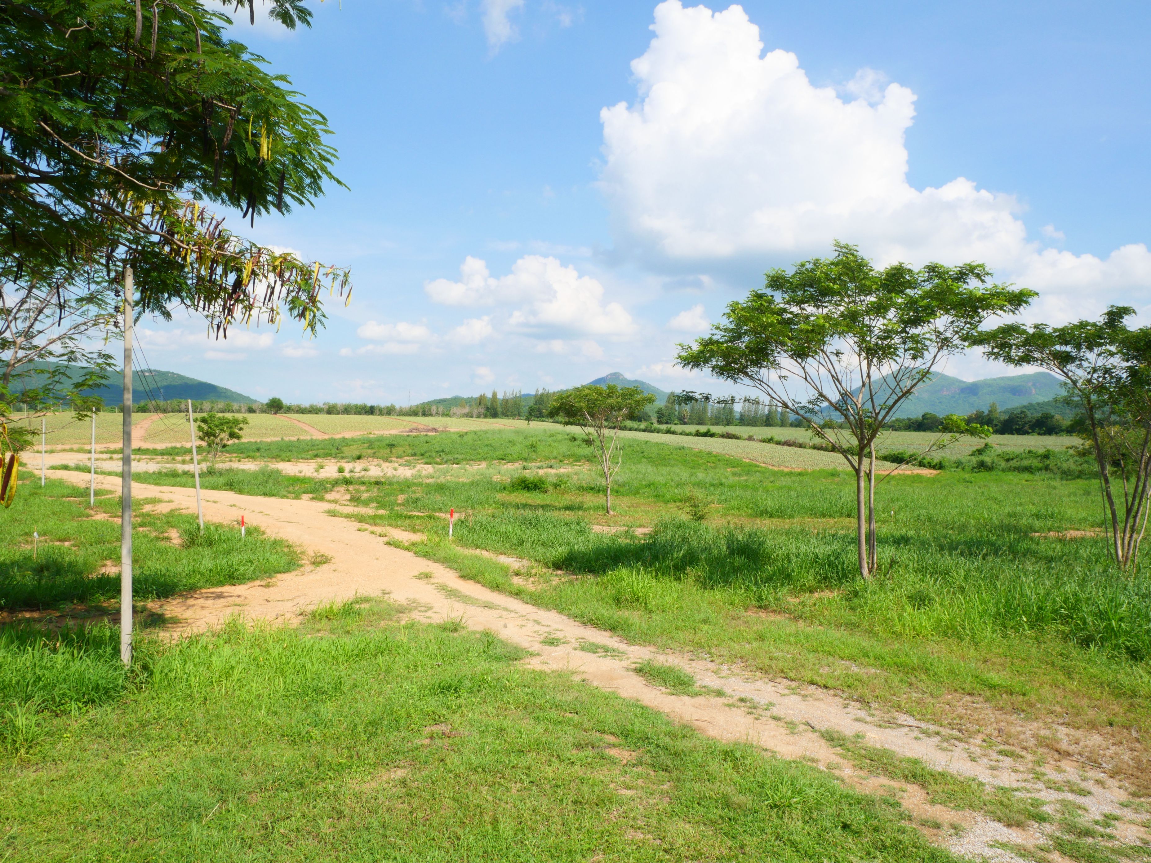 ที่ดินแปลงสวยวิวเขา ติดถนนลาดยาง ล้อมรั้วรอบที่ บนเส้นทางการท่องเที่ยว 182 ไร่ แก่งกระจาน, เพชรบุรี