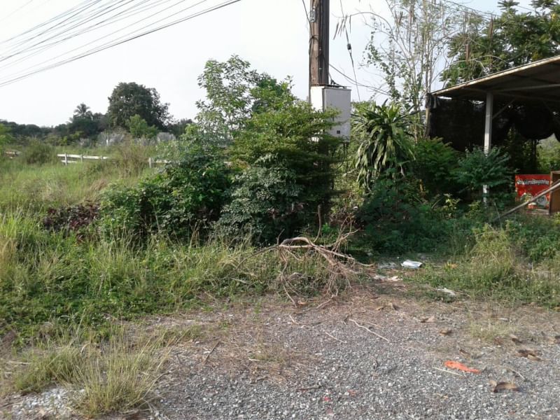 ที่ดินพร้อมสิ่งปลูกสร้าง