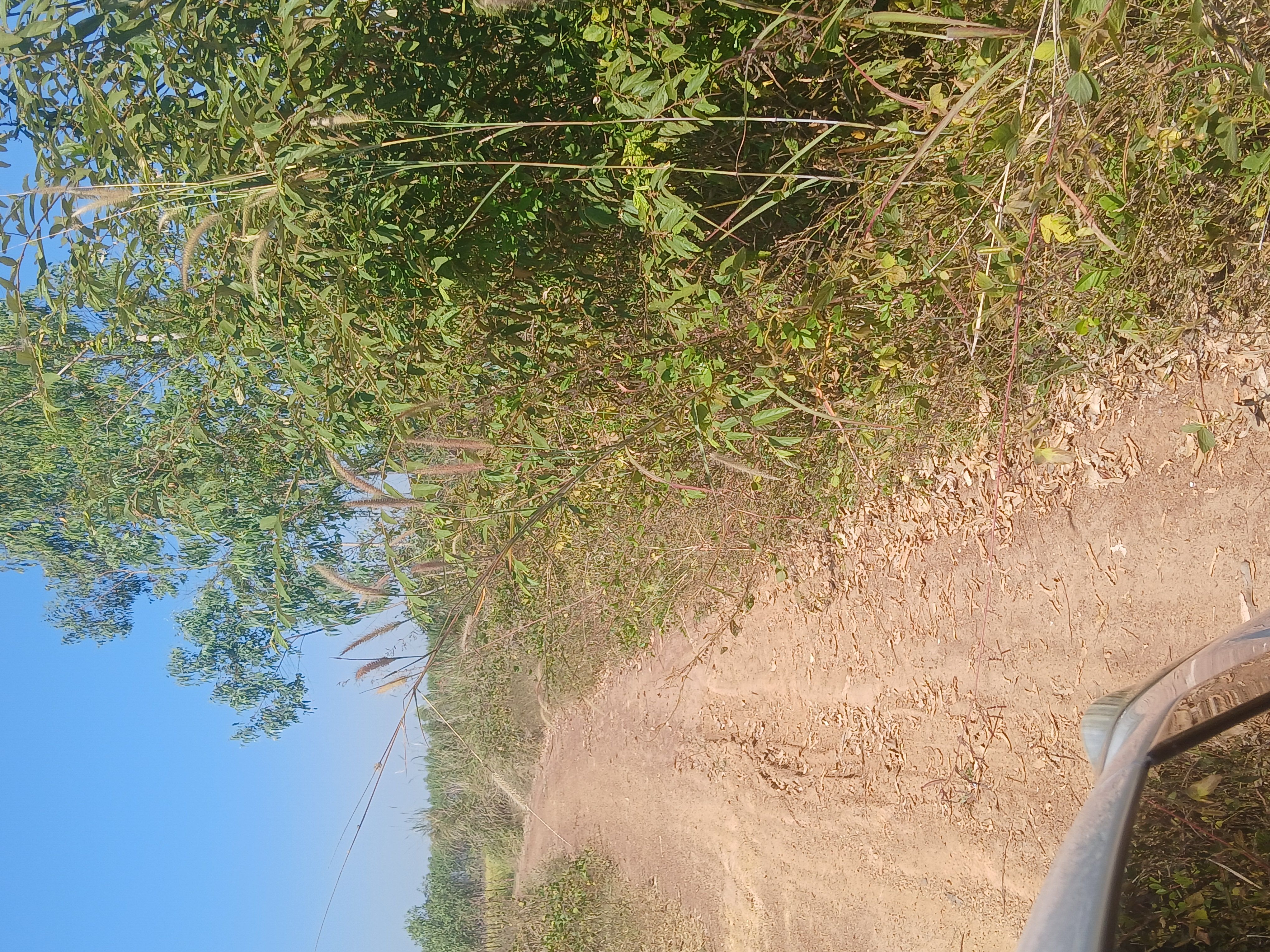 ขายที่ดินปราจีน กบินทร์บุรี ขายด่วน