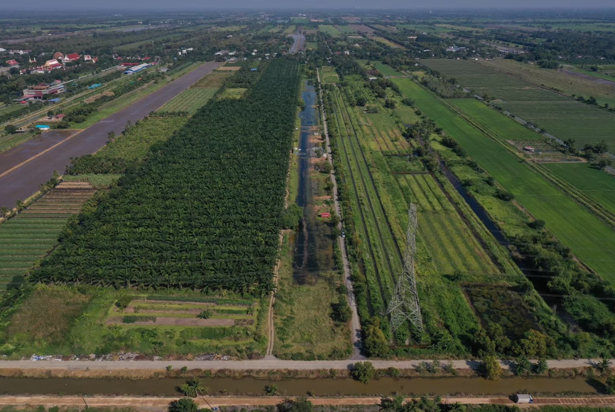 ขายที่ดินปทุมธานี หนองเสือ แปลงสวย ติดทางสาธารณะ คลอง 10 ซอย 13
