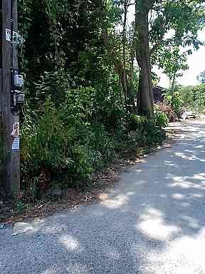 ขายที่ดิน เกาะสมุย สุราษฎร์ธานี 2-0-45 ไร่