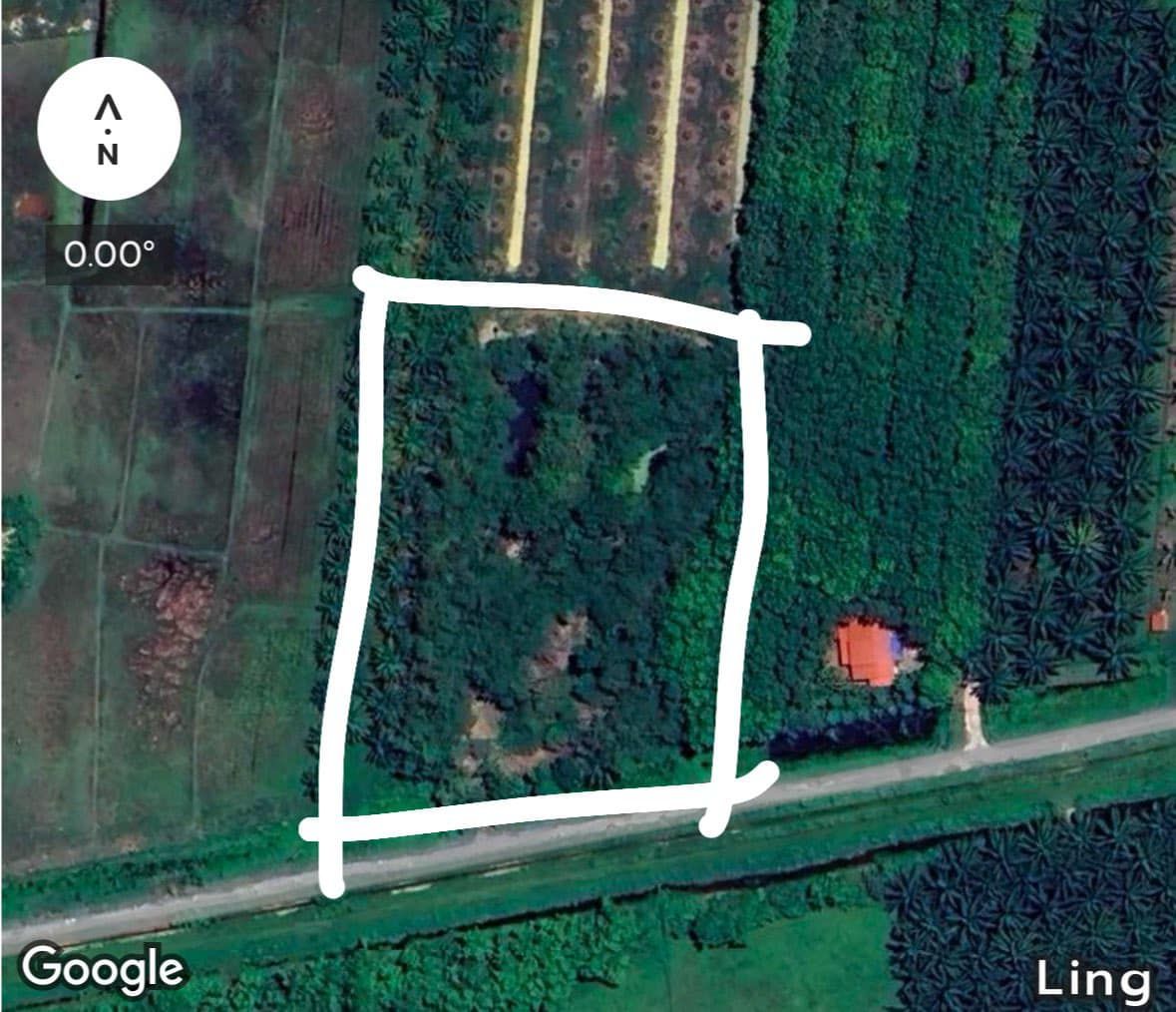 ขายที่ดิน อำเภอพระพรหม ที่ดินทำเลทองมีอนาคต ใกล้ทางแยกต่างระดับนาพรุ (สะพานข้ามแยก)