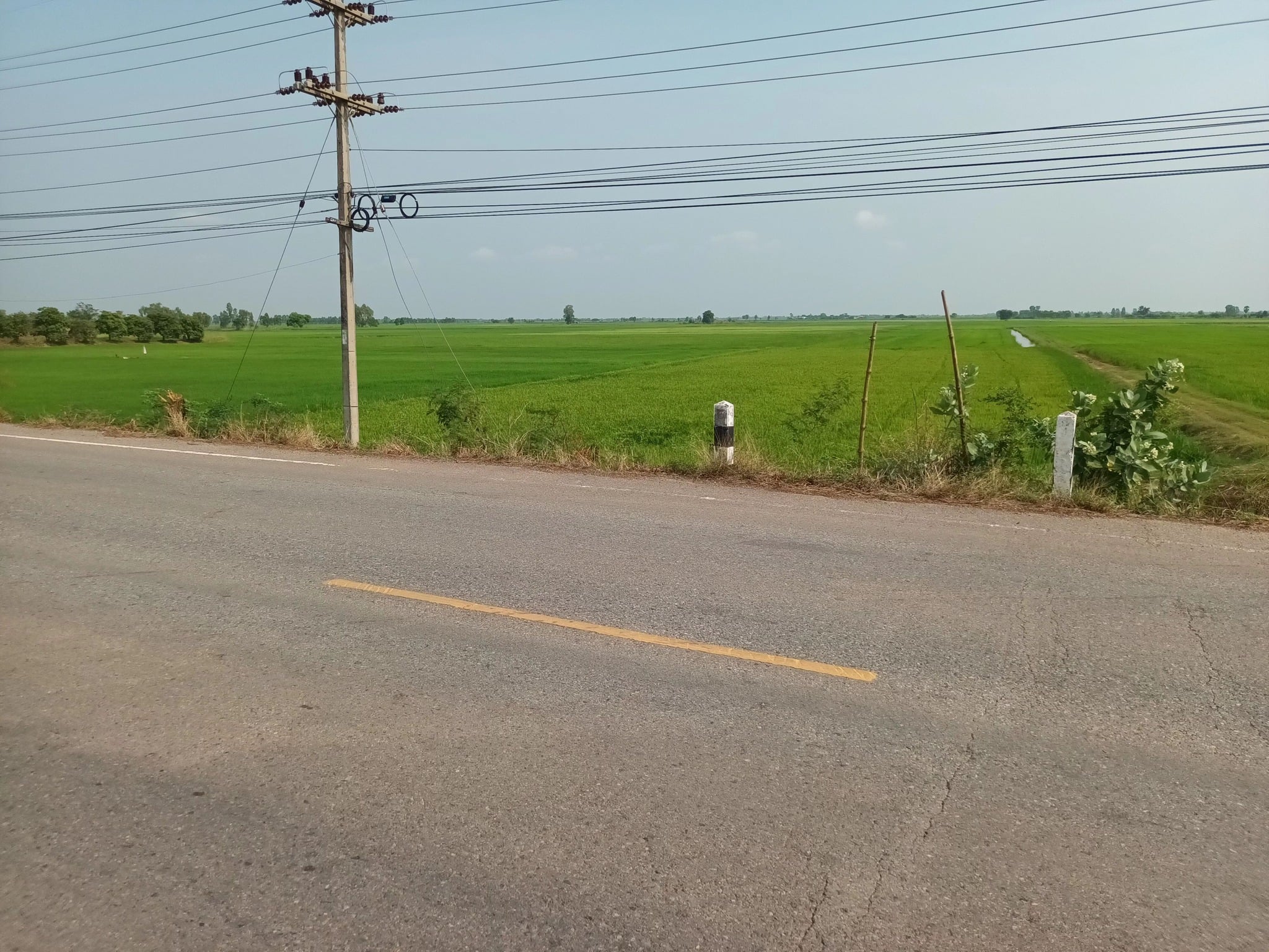 ที่ดินที่นา นครสวรรค์ 10-2-0