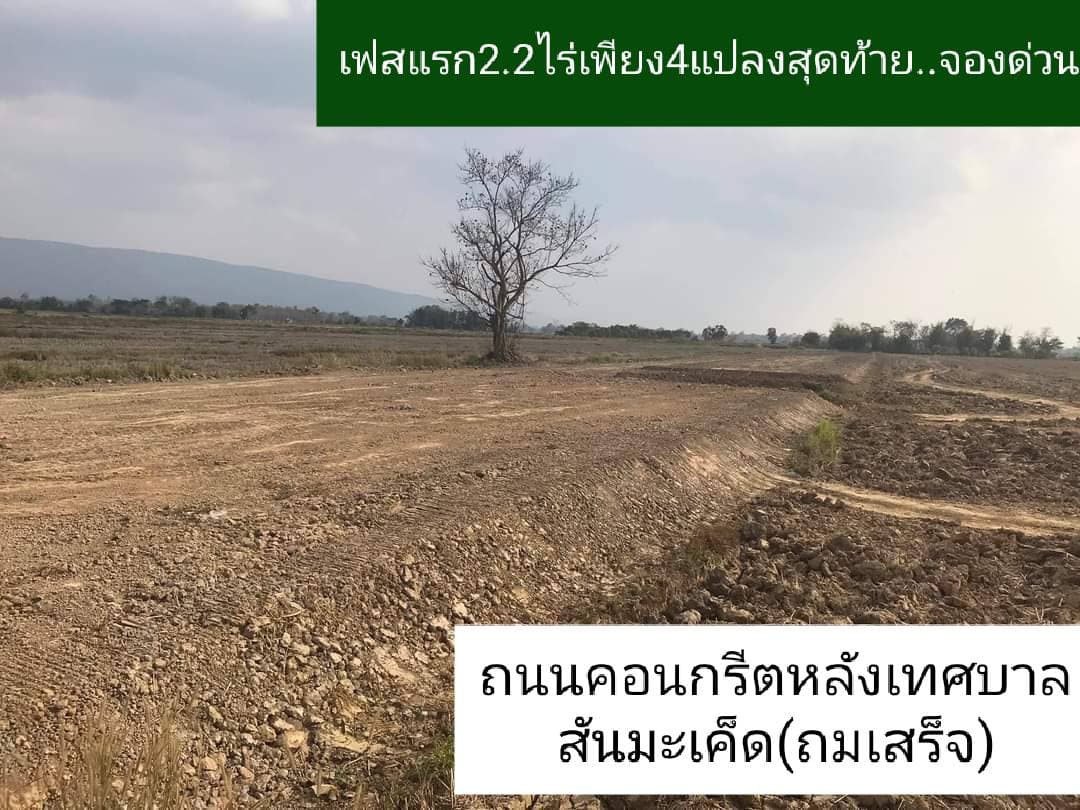 ที่ดินแบ่งขายหลายแปลง พาน เชียงราย 98 ตรว.