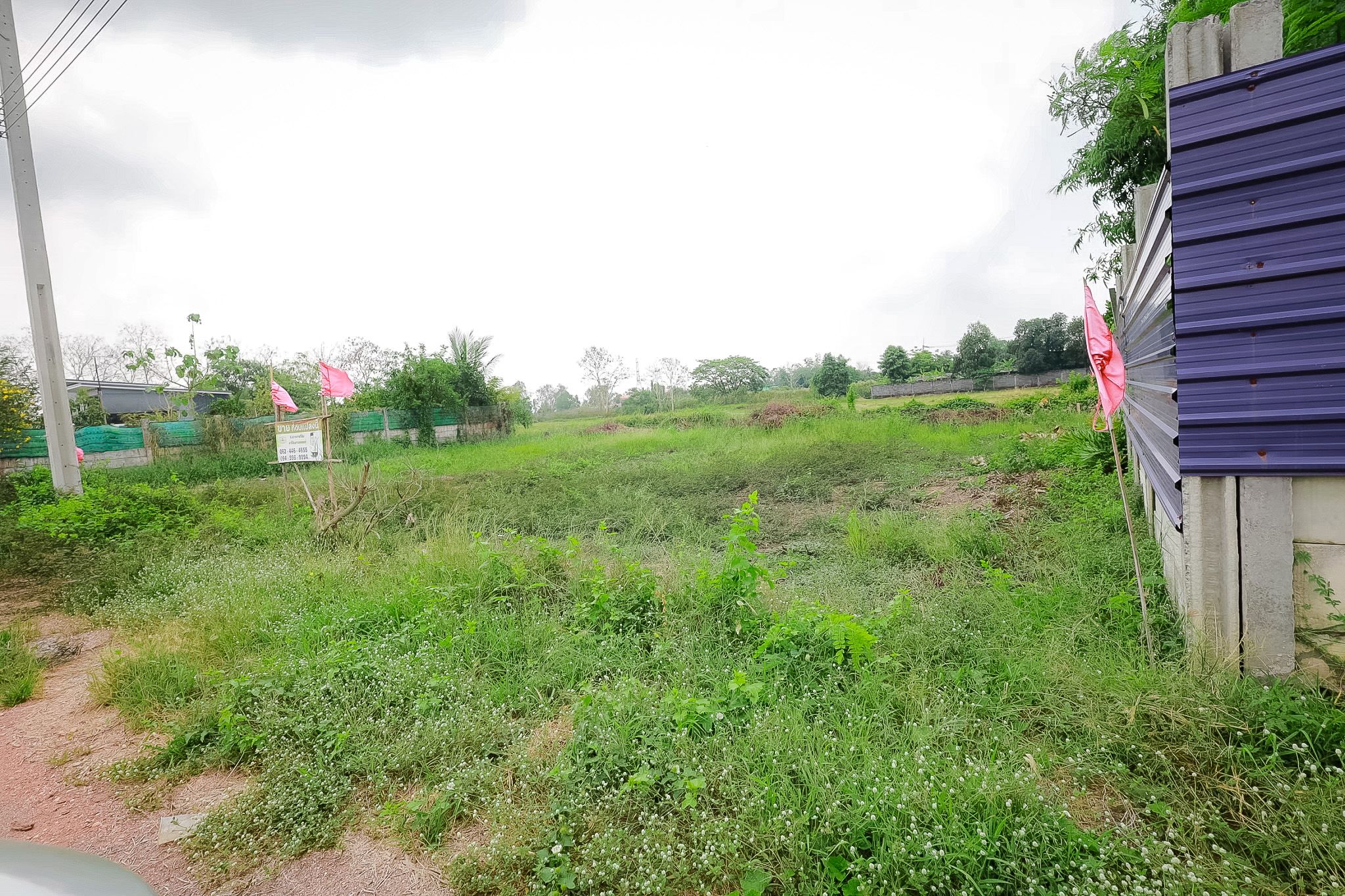 ายที่ดินทำเลดี บารอกัต คลองสิบสอง เขตหนองจอก กรุงเทพฯ