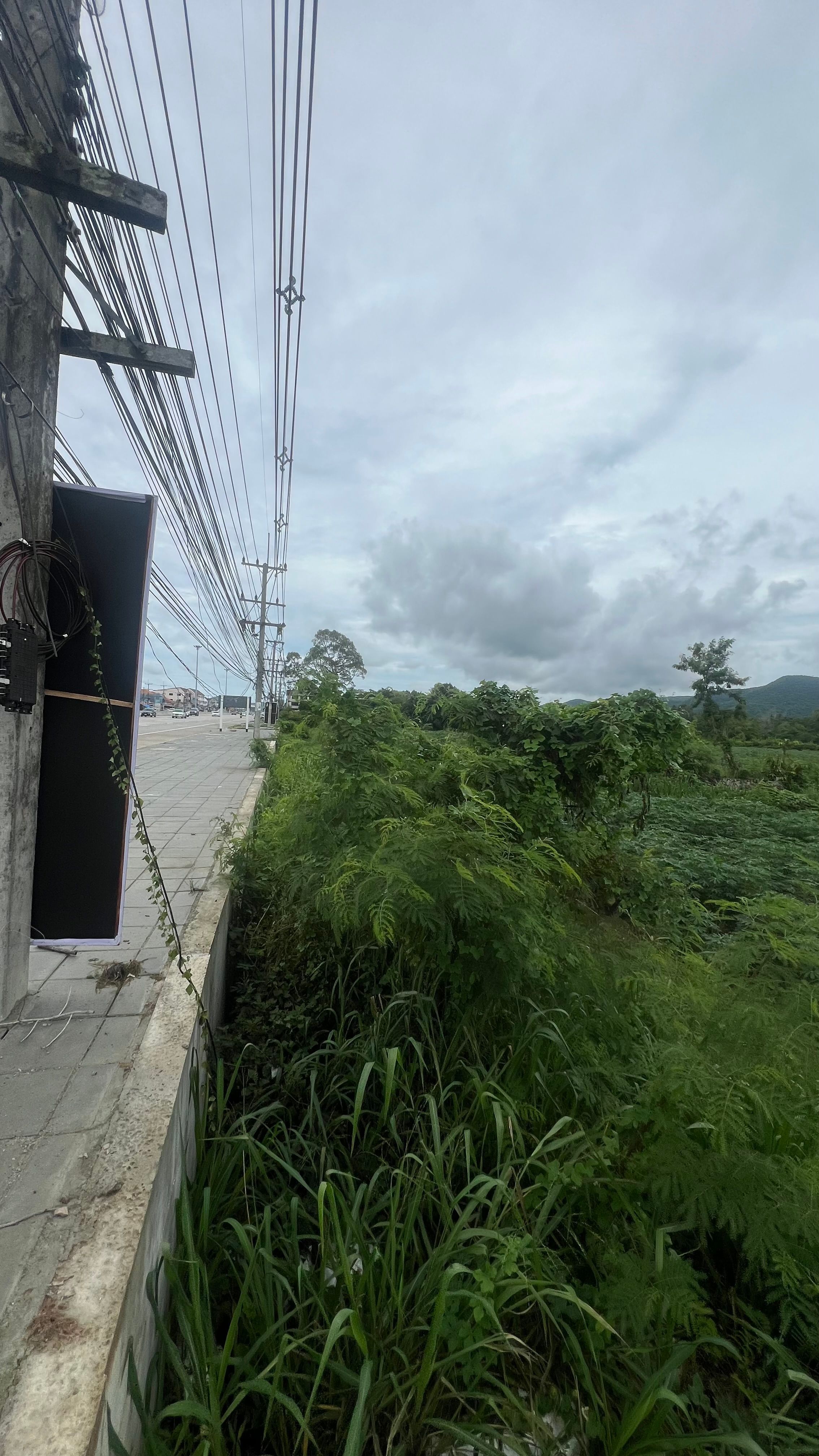 ขายที่ดินสวย ติดถนนใหญ่ 