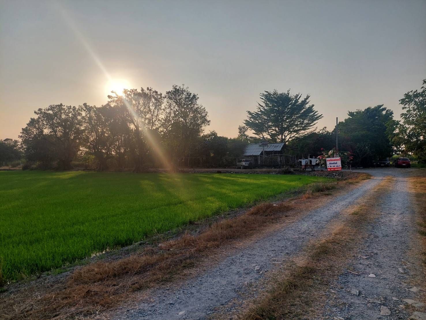 ขายที่ดิน ซ.วัดลาดปลาดุก บางบัวทอง นนทบุรี ขายต่ำกว่าราคาตลาด 1 ไร่เพียง 5 ล้านบาท แปลงหัวมุม ติดถนนซอย 2 ด้าน ติดกับ Weekend Coffee Farm & Garden