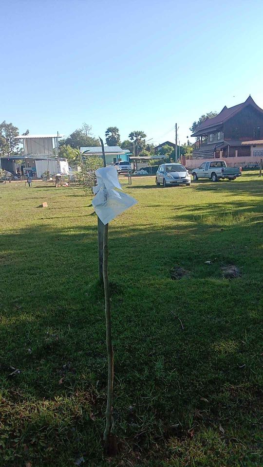 ขายที่ดิน อุบลราชธานี 71 ตรว.