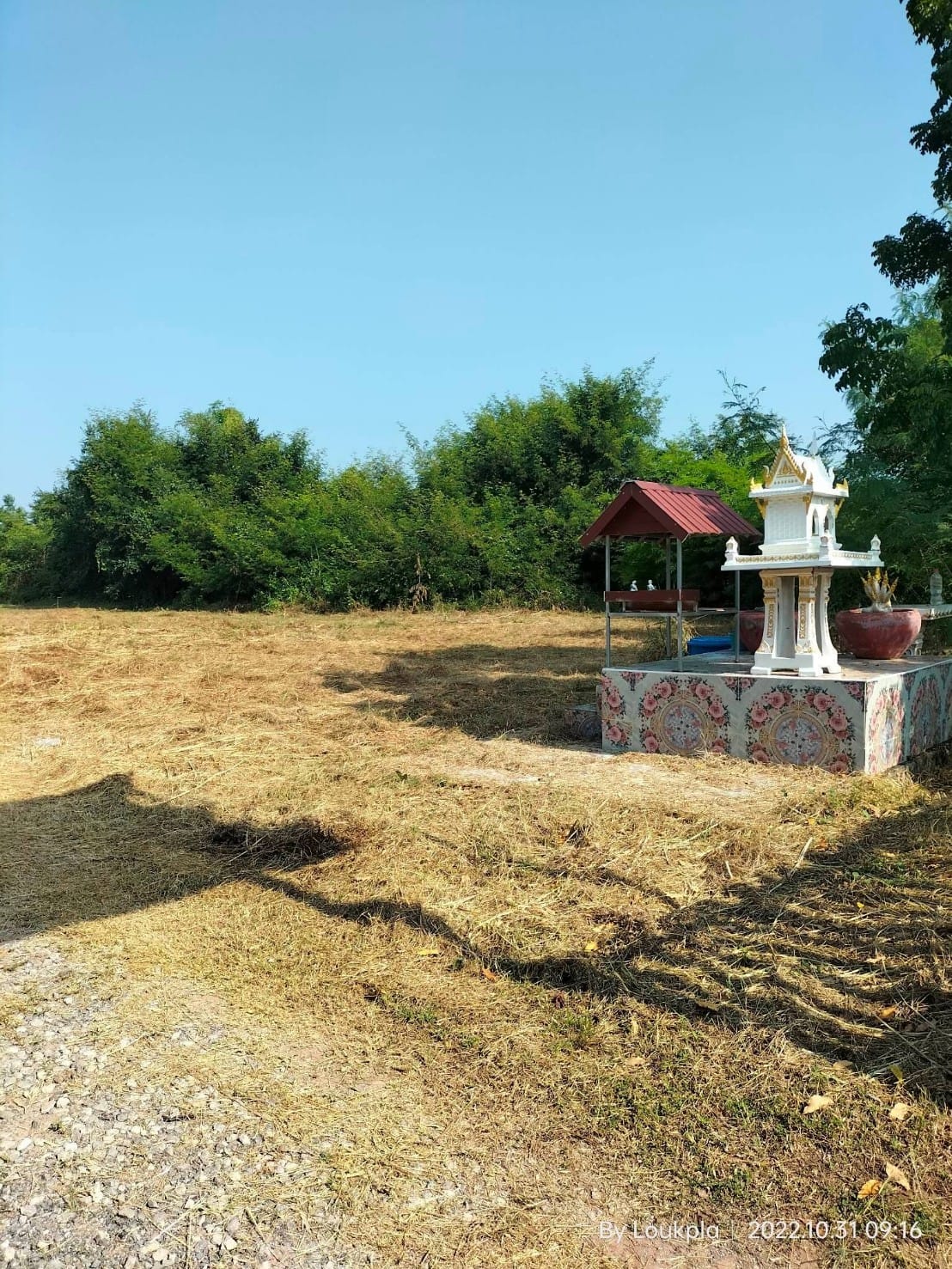 ขายบ้านพร้อมที่ดิน 5 ไร่ 2 งาน 15 ตรว