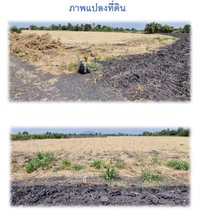 ขายที่ดินลพบุรี พัฒนานิคม ที่ดินทำเลดี มีทางเข้า-ออก สาธารณูปโภคเข้าถึง 36-0-28 ไร่.