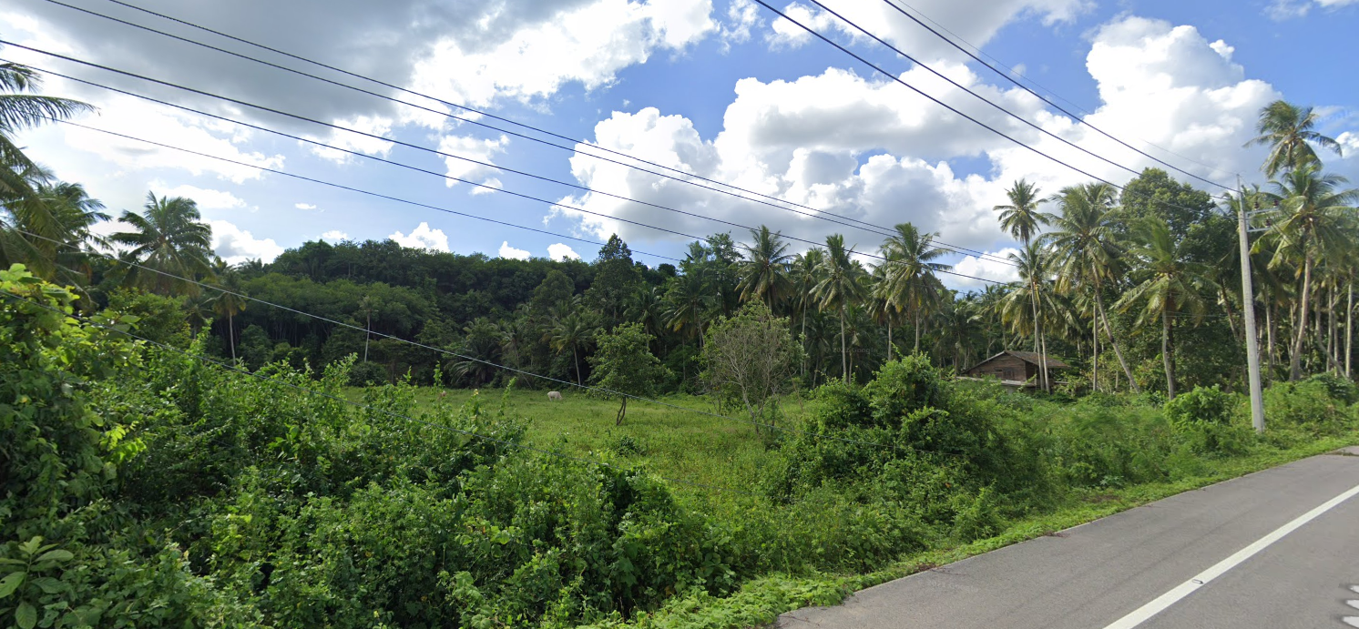 ขายที่ดินแปลงสวยวิทะเล จ.ชุมพร อ.เมืองชุมพร 8-2-7.3
