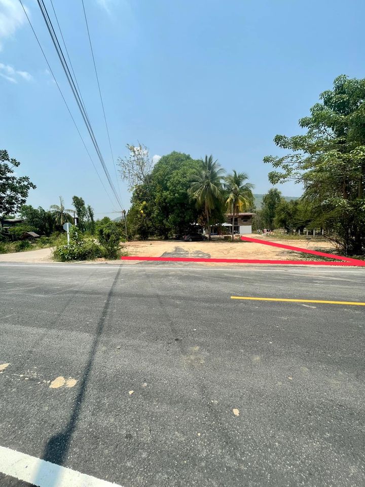 ที่ดินแปลงสวยมาก วังทอง พิษณุโลก 205 ตรว.