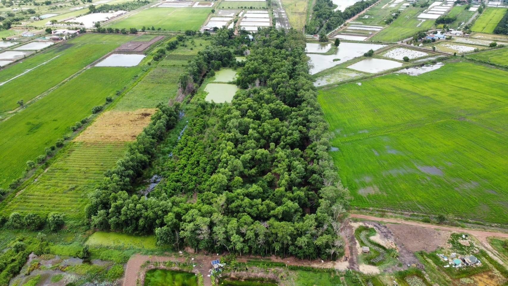 ที่ดินสวยๆ ใกล้ อบต.ศรีจุฬา  นครนายก เนื้อที่ 20 ไร่