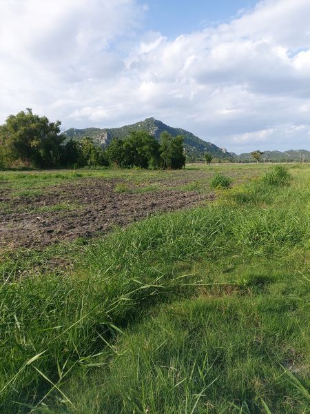 ที่ดิน วิวหลังเขา นครสวรรค์ 6 ไร่