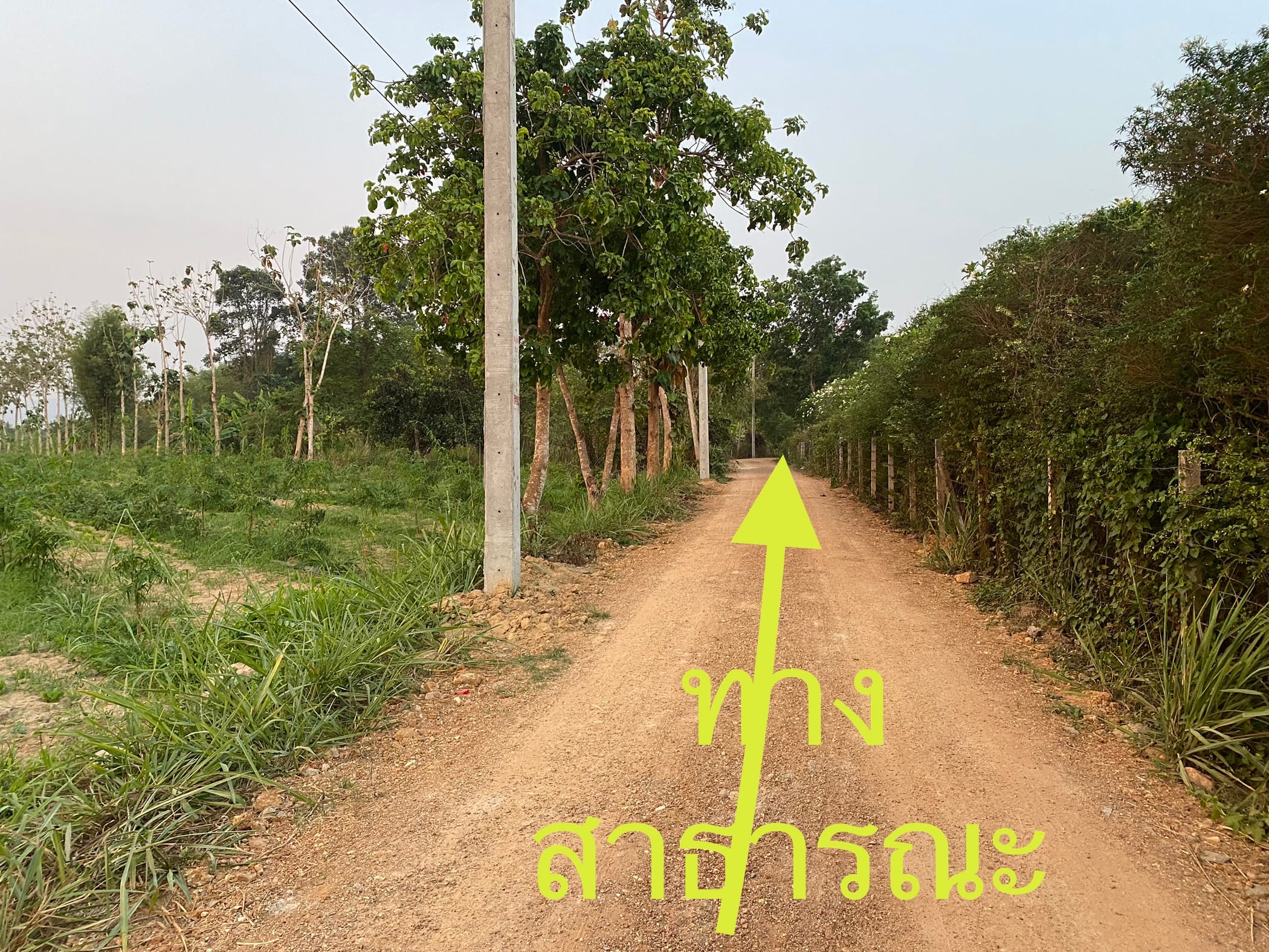 ขาย