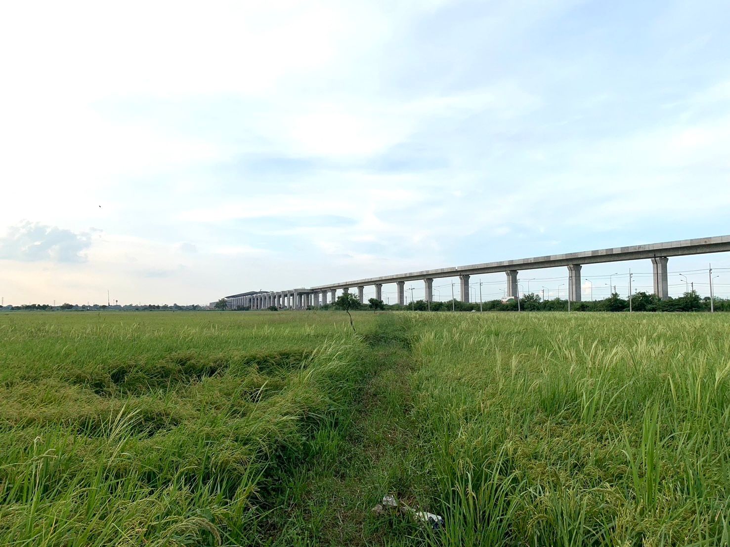 ขายที่ดิน 2 แปลง ติดสถานีรถไฟลพบุรี 2 