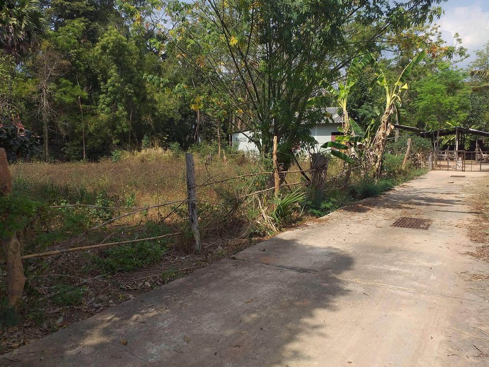 ที่ดิน อ.แวงใหญ่ ขอนแก่น 395 ตรว.